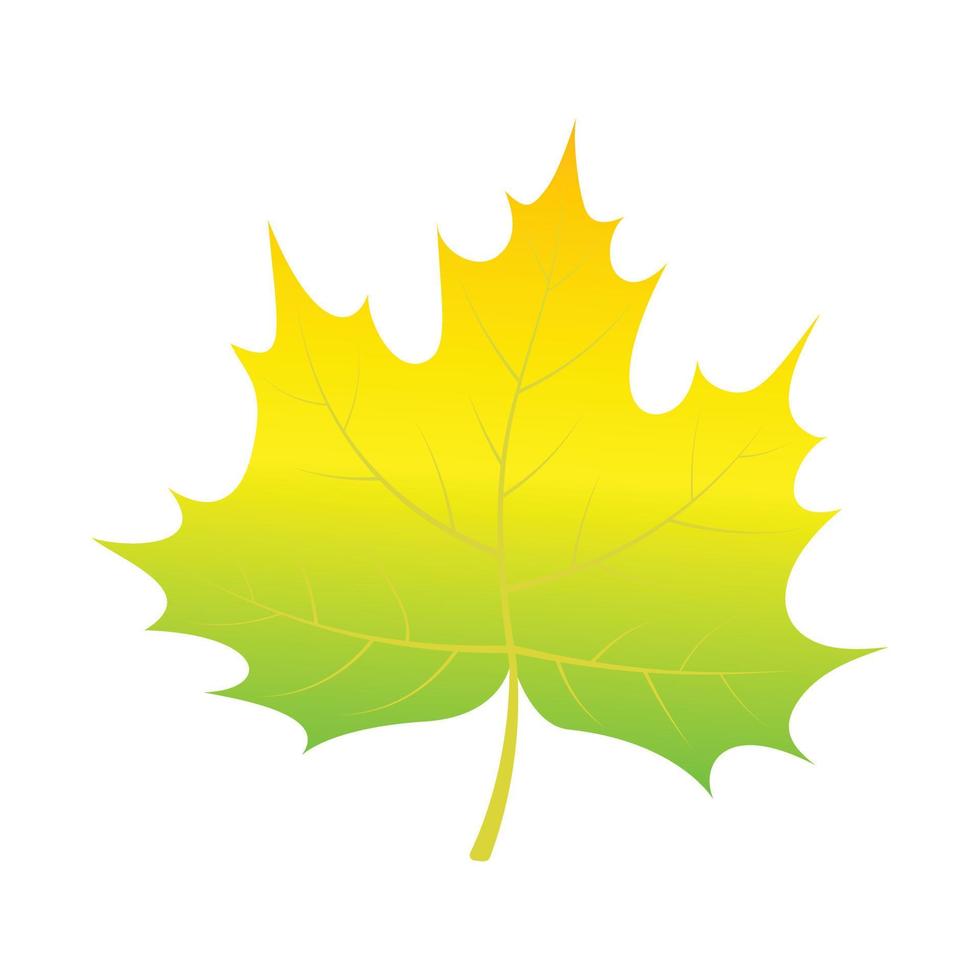 Green leaf of tree icon, isometric style vector