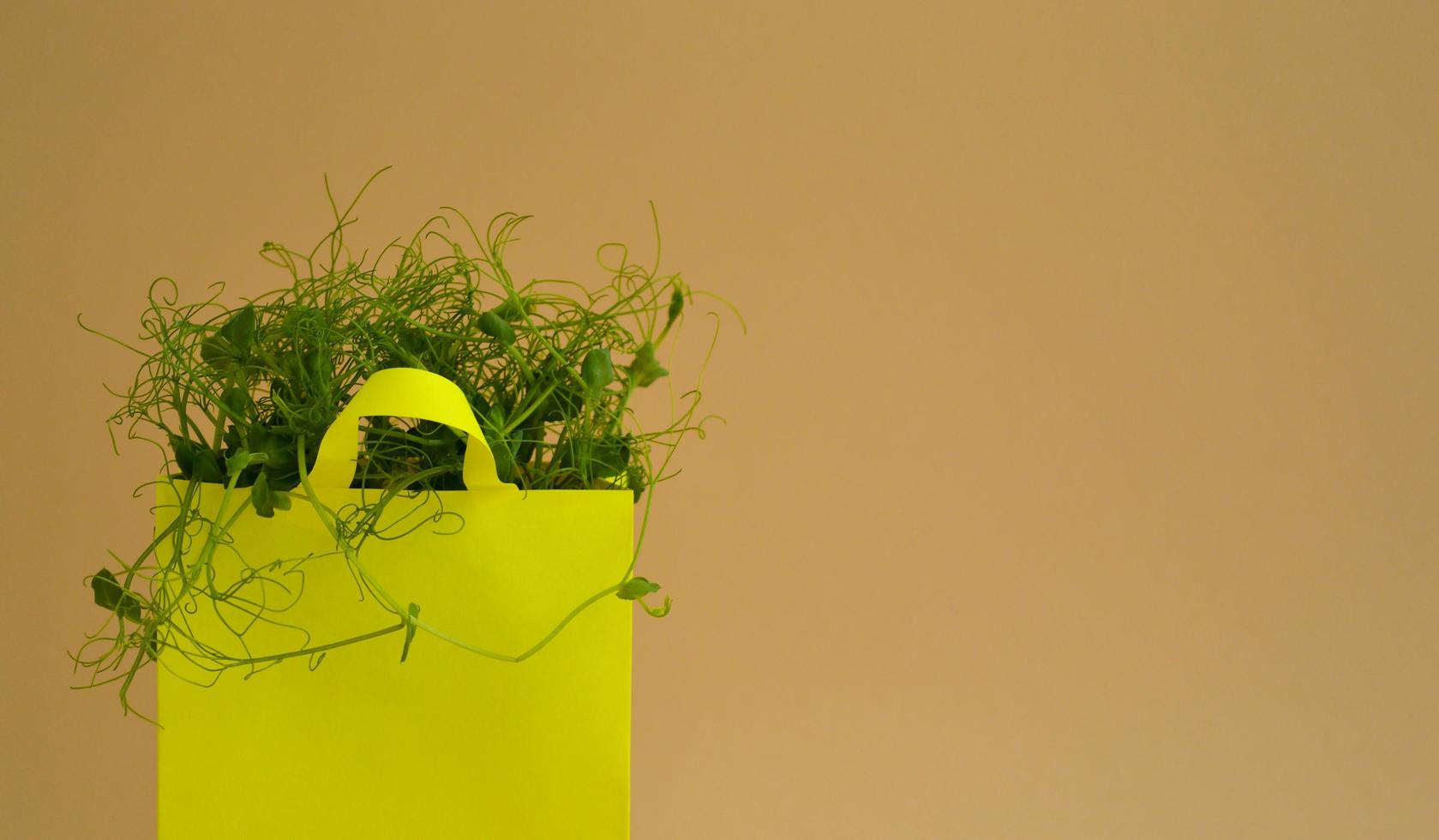 Banner of yellow paper shopping bag with micro greenery on a beige background. Spring agriculture and planting concept. Natural organic bio food. photo