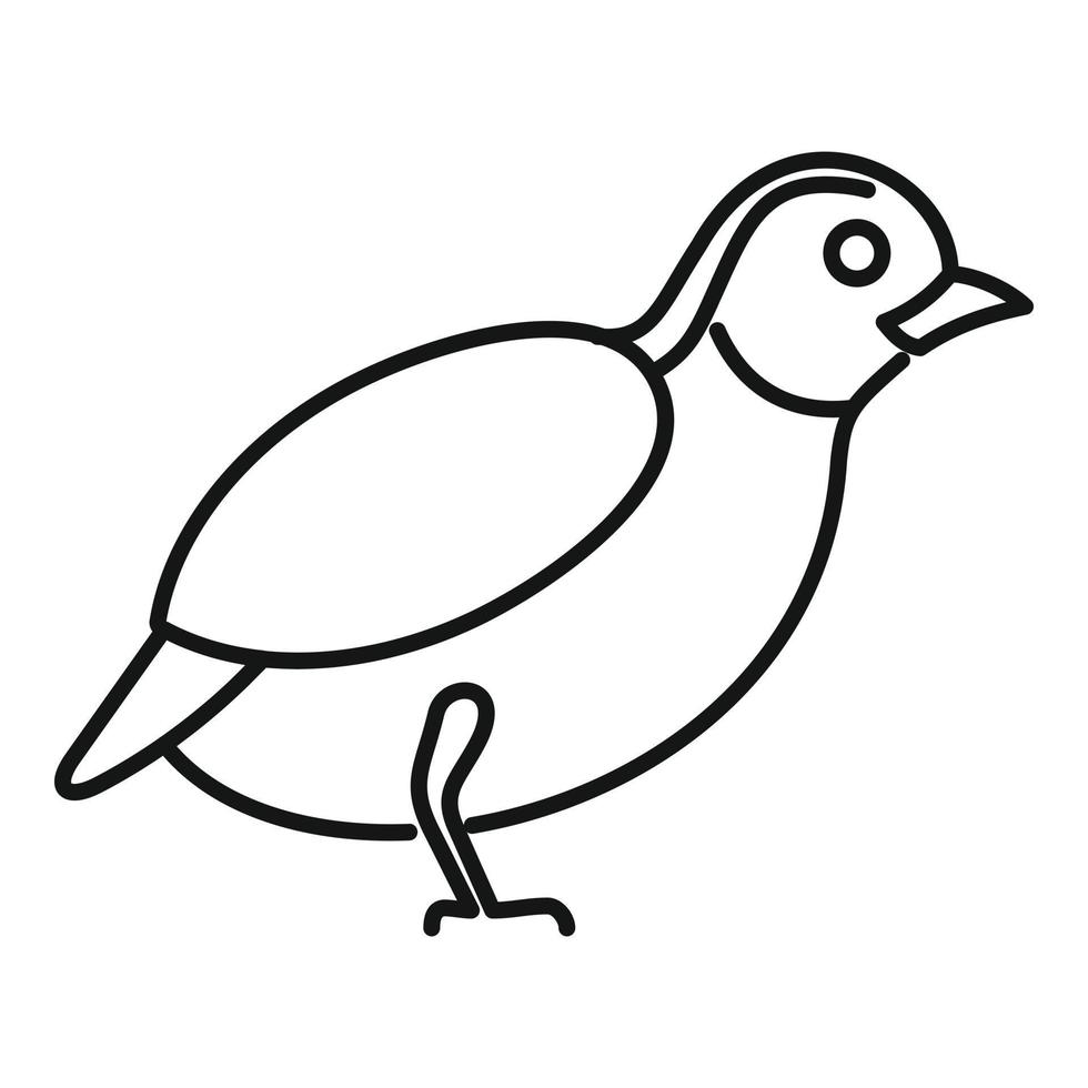 Quail wild icon, outline style vector