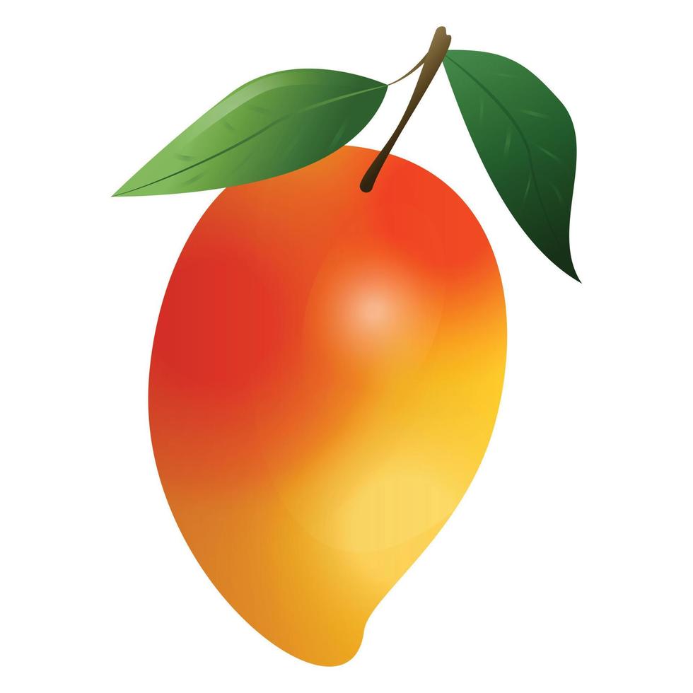 Mango fruit icon, cartoon style vector