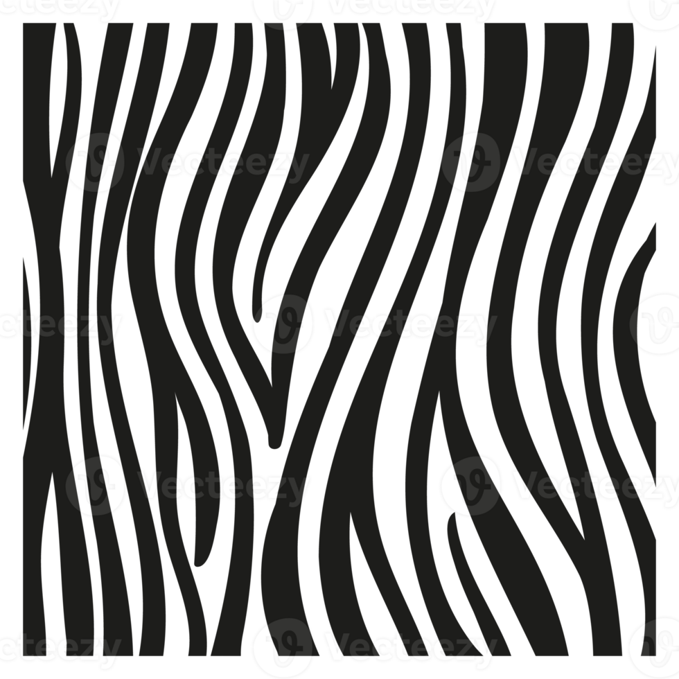 svarta ränder på huden på en zebra för dekorationsgrafik png