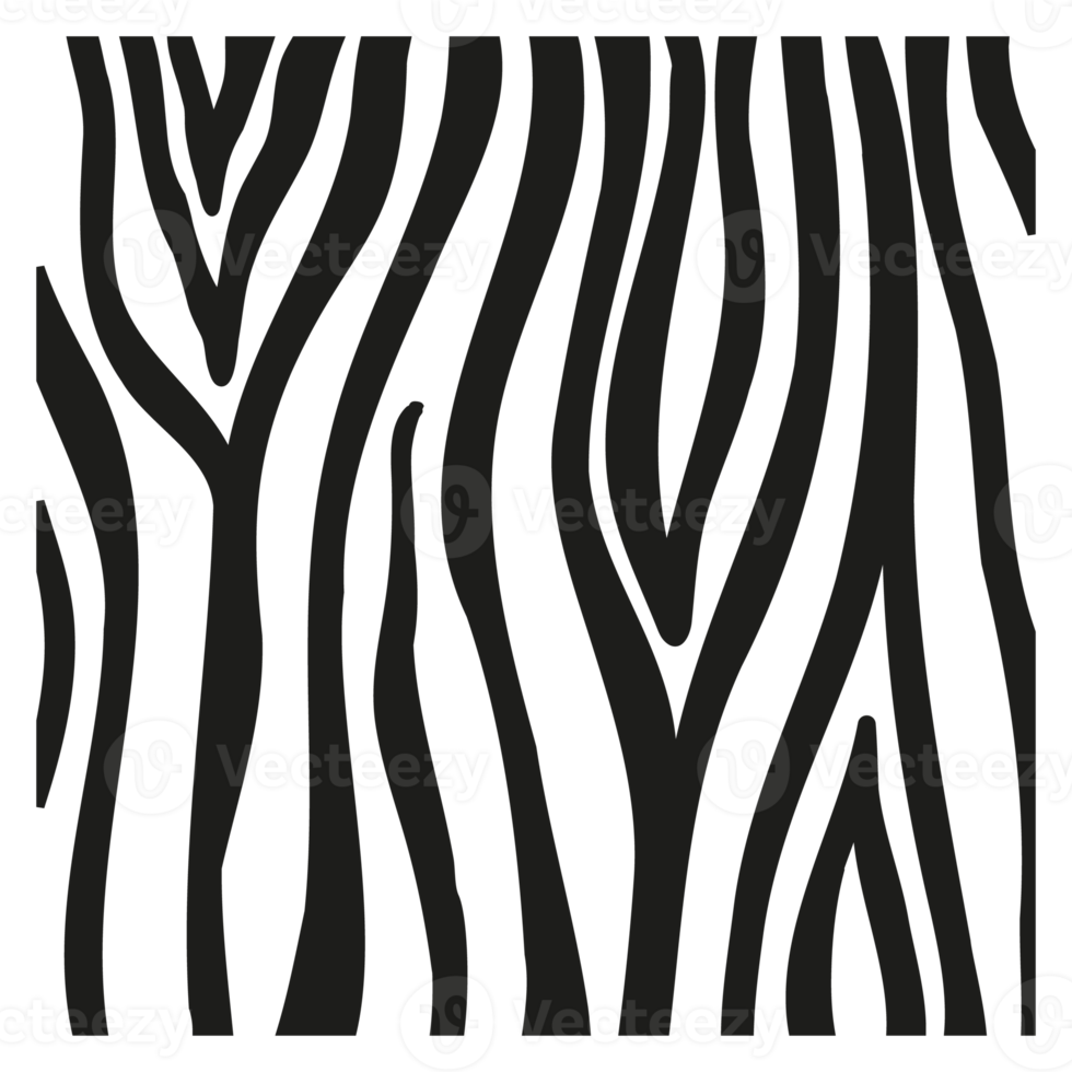 svarta ränder på huden på en zebra för dekorationsgrafik png
