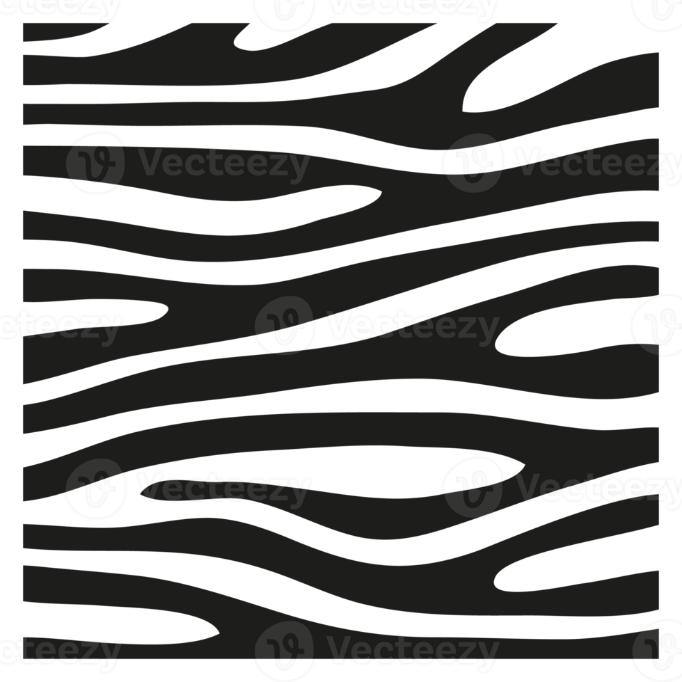 zwarte strepen op de huid van een zebra voor decoratie graphics png