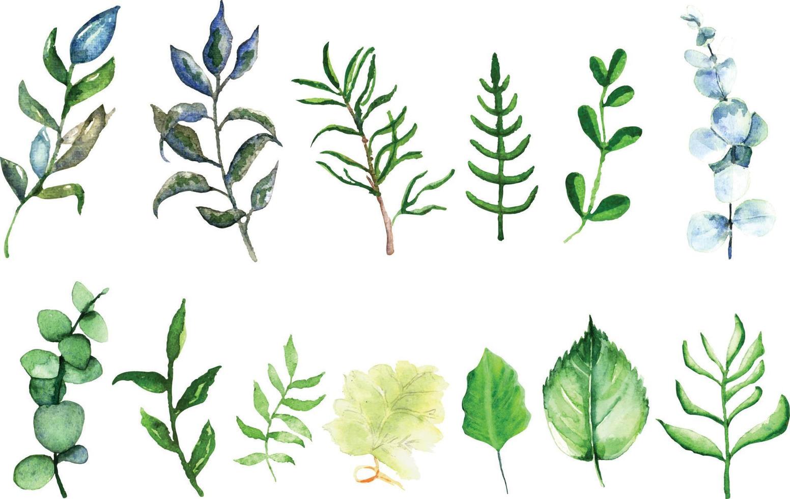 watercolor leaf background vector
