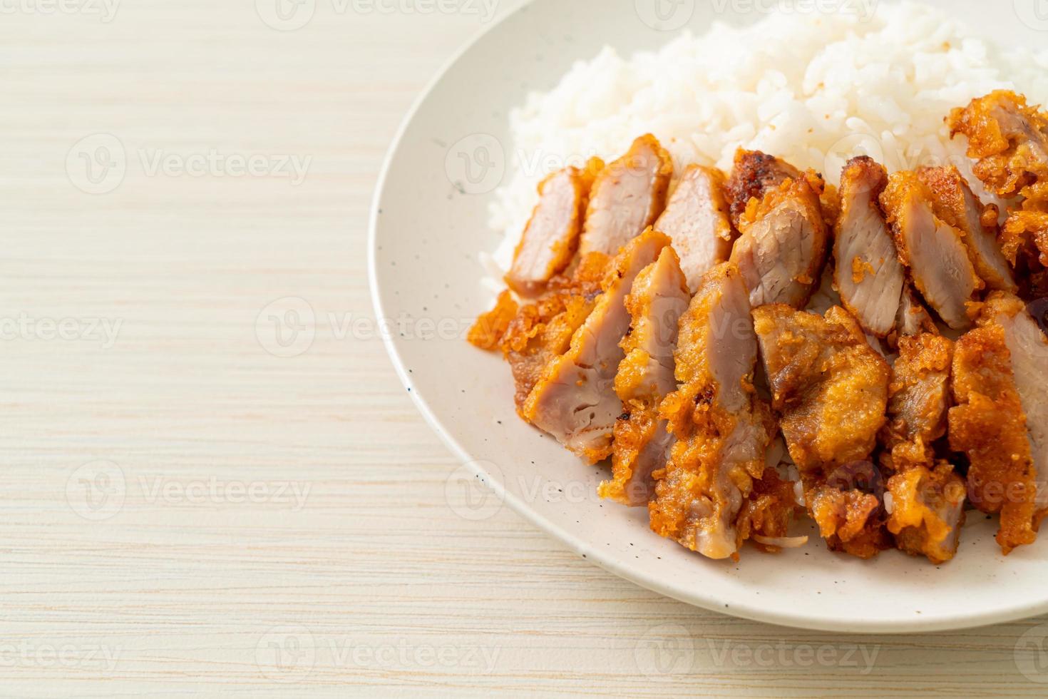 fried pork topped rice with dipping sauce photo
