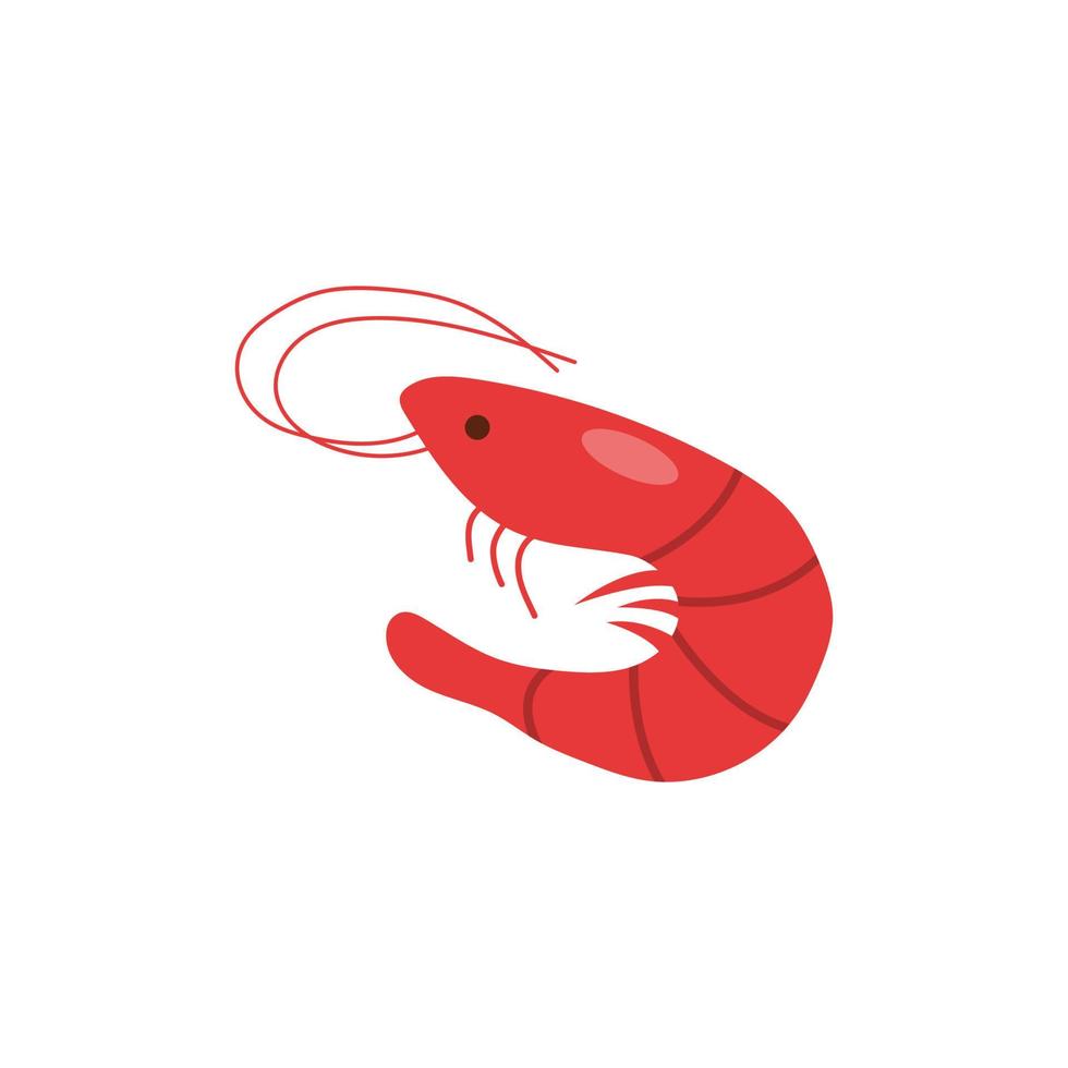 Unpeeled shrimp or prawn with antennae. Raw fresh seafood. vector
