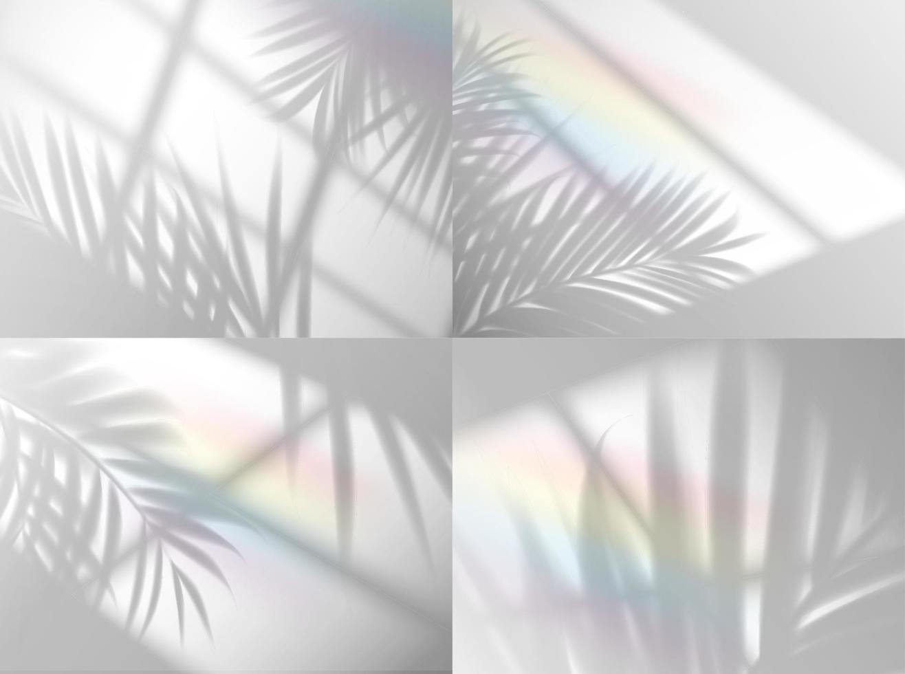 Palm leaves shadow with rainbow background overlay vector