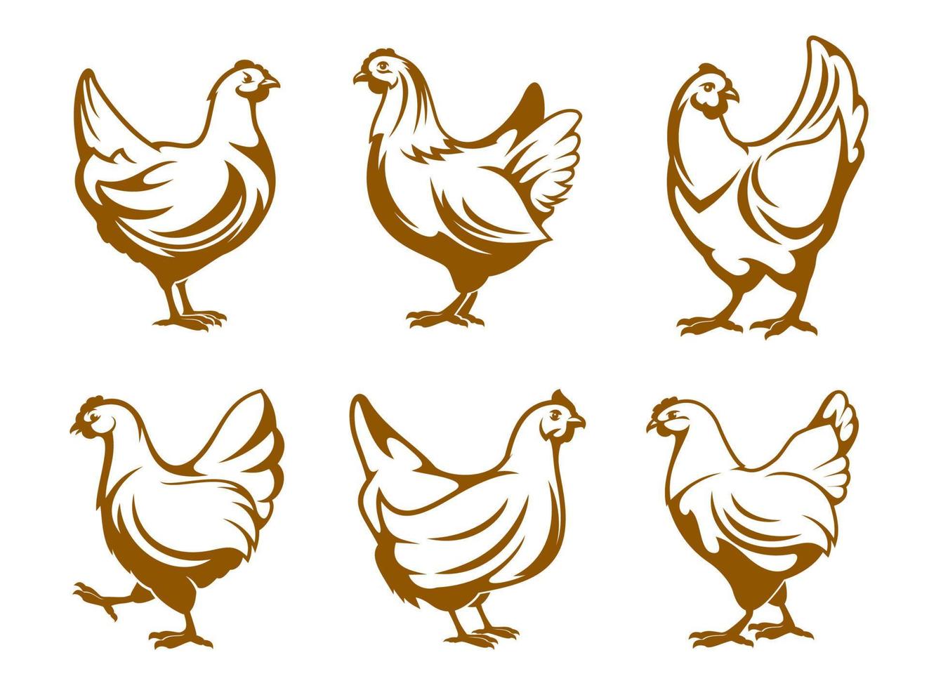 iconos de gallina, granja de pollos y símbolos de carne de aves de corral vector