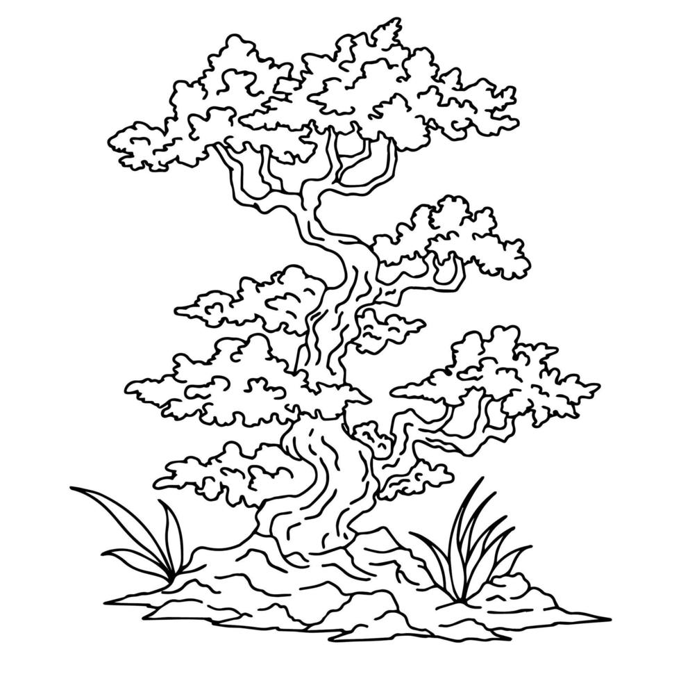 Print design illustration asian bonsai tree outline vector