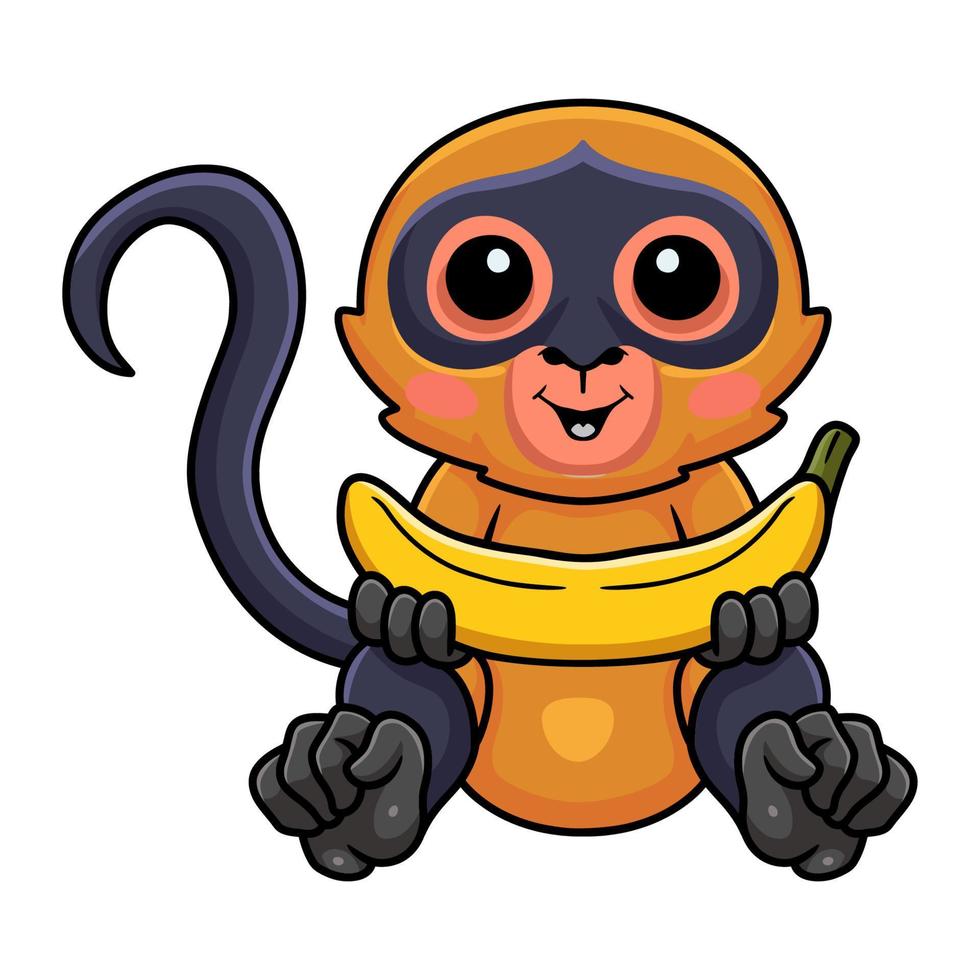 Cute spider monkey cartoon holding a banana vector