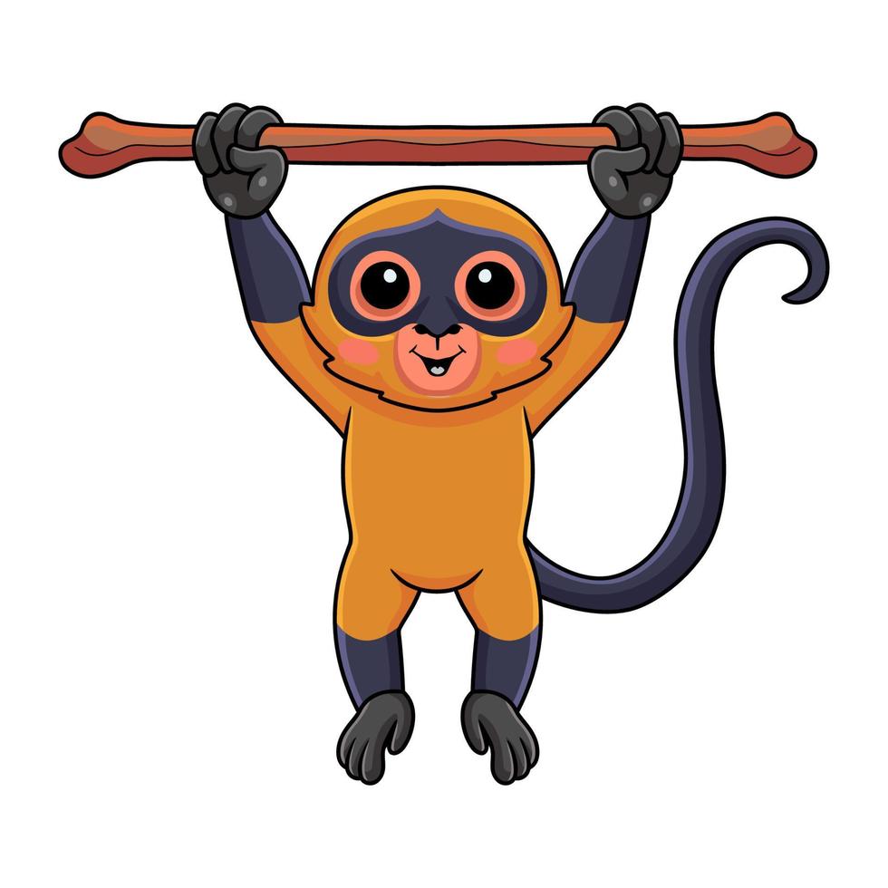 Cute spider monkey cartoon hanging on tree vector