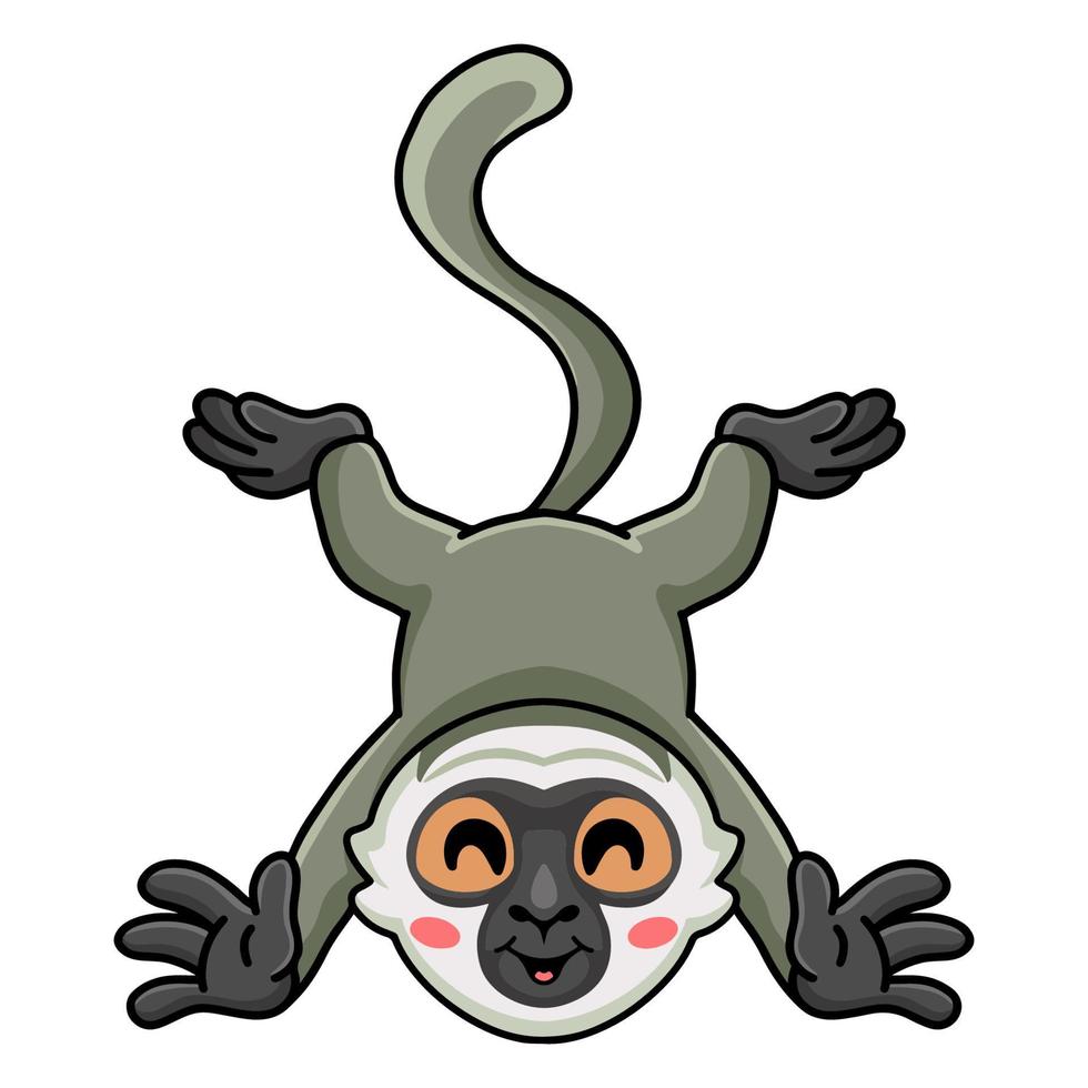 Cute little vervet monkey cartoon posing vector