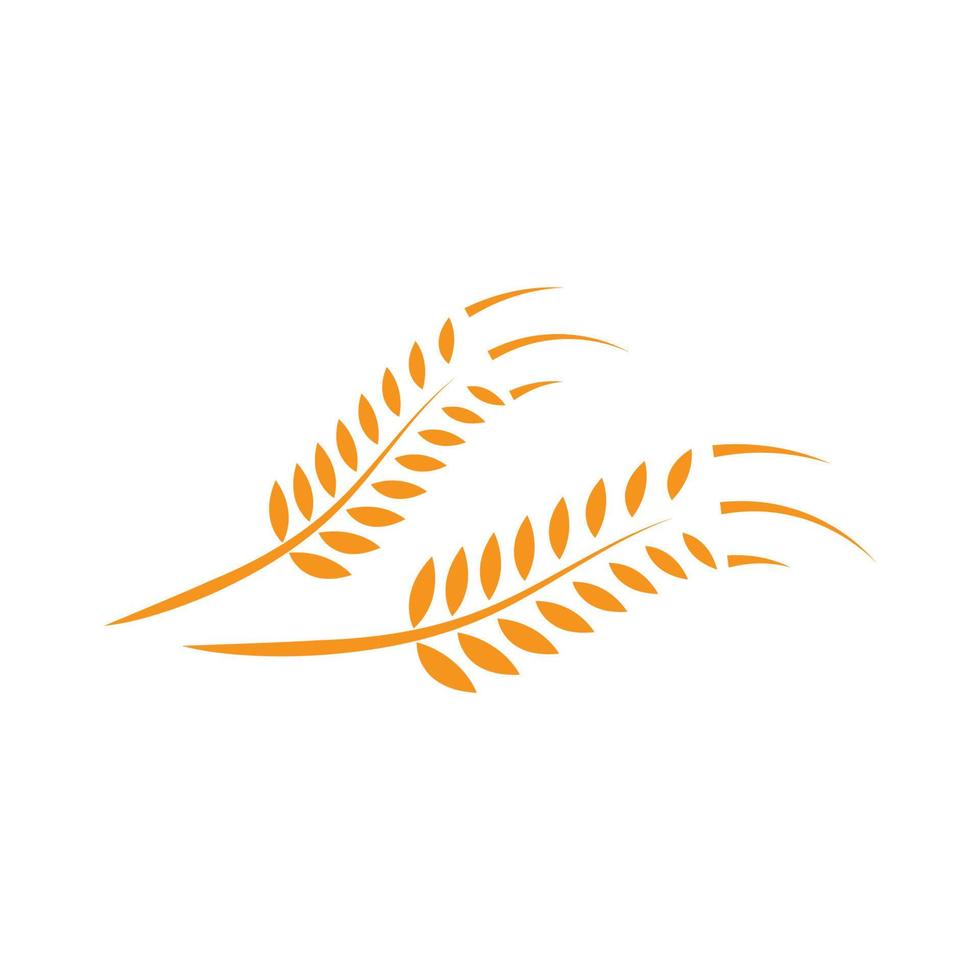 wheat Logo Template vector