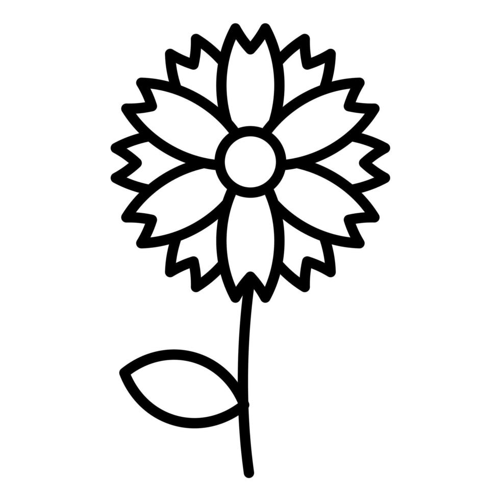 Chamomile Line Icon vector