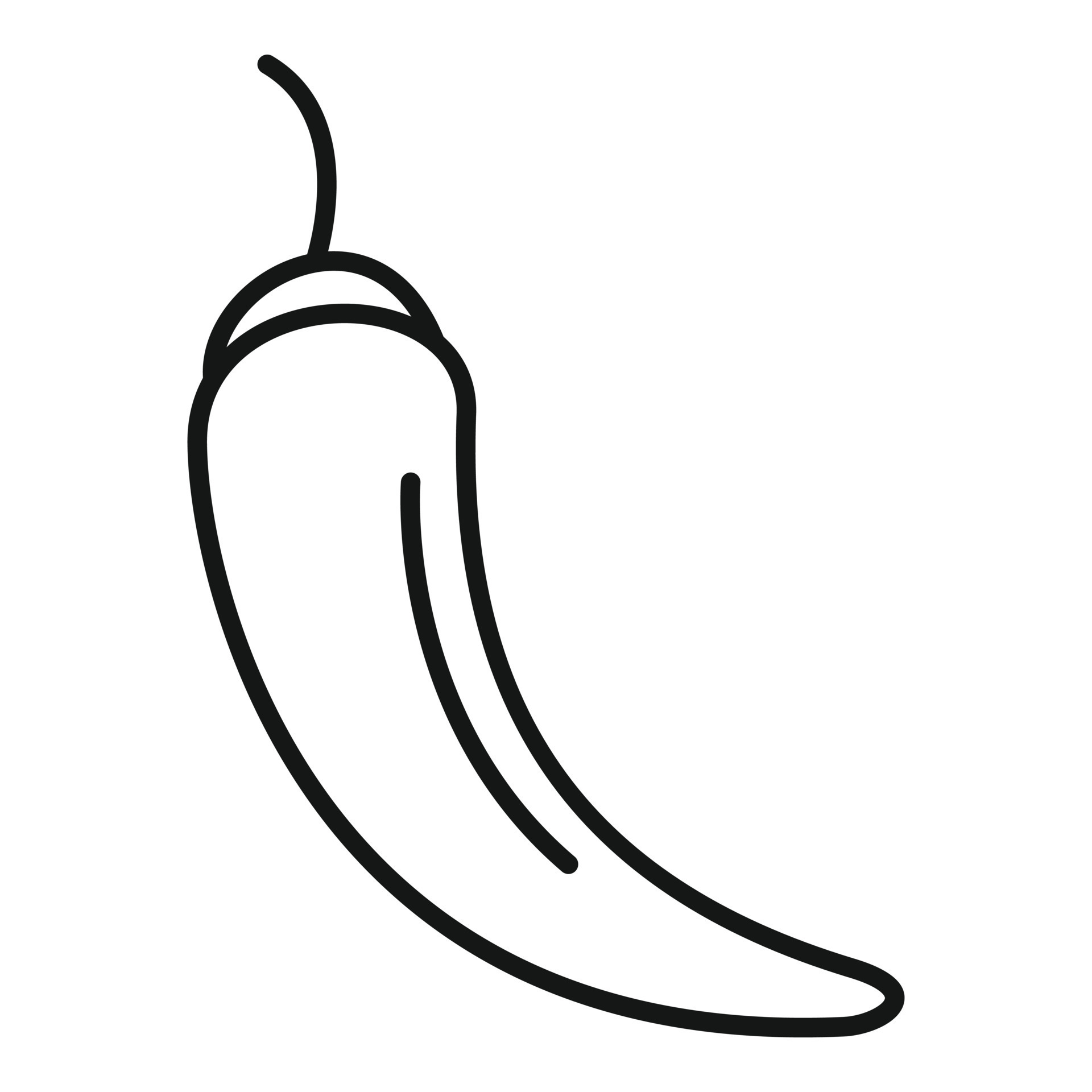 Chili pepper icon, outline style 14643048 Vector Art at Vecteezy