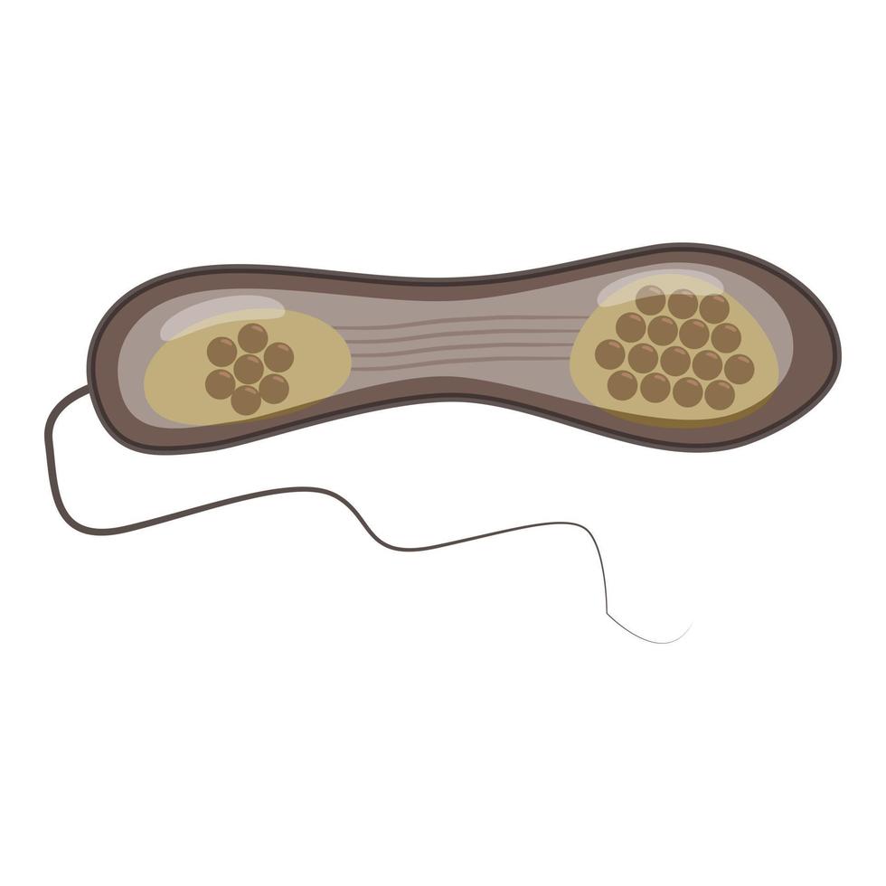 Bacteria or virus icon, isometric 3d style vector
