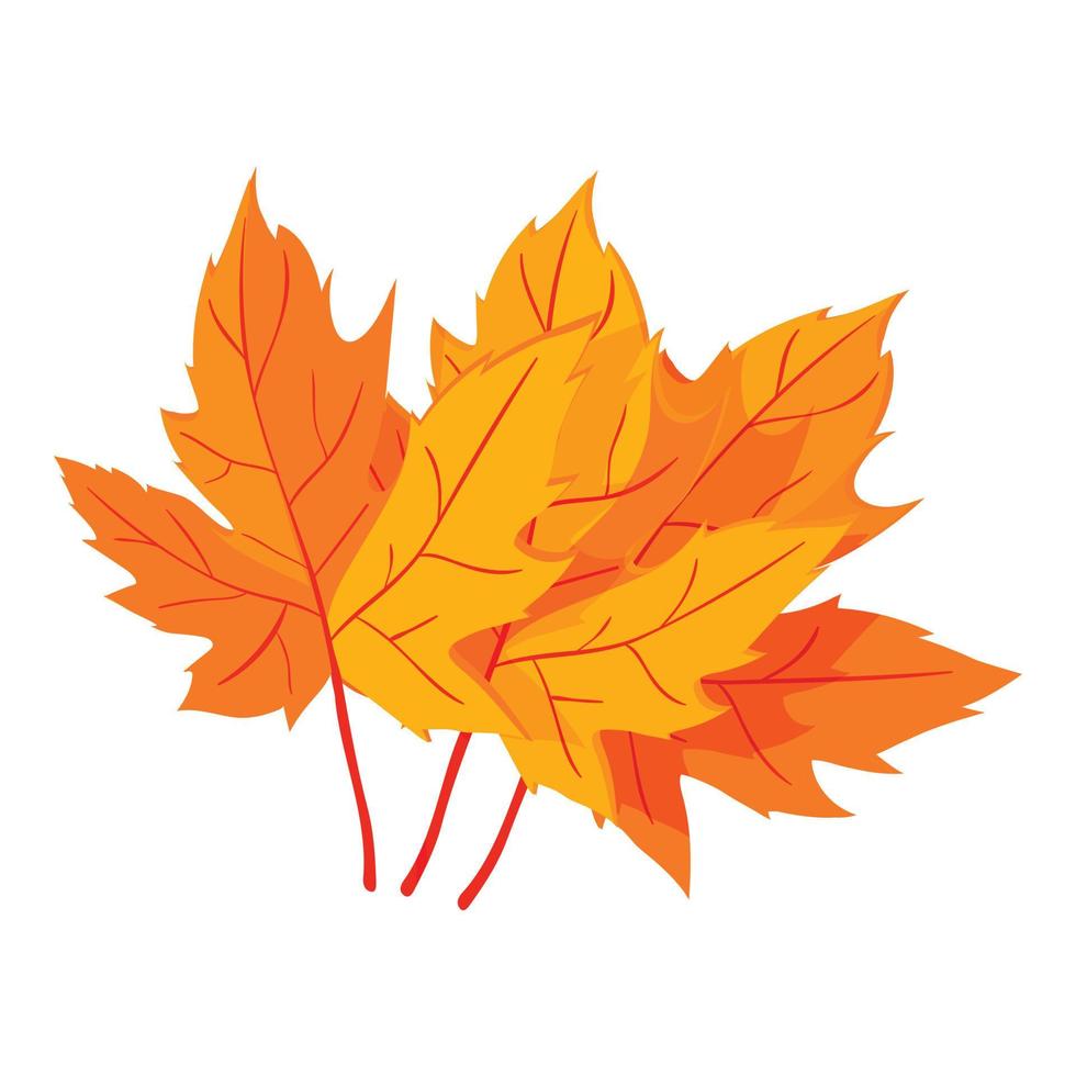 Autumn leaves icon, cartoon style vector