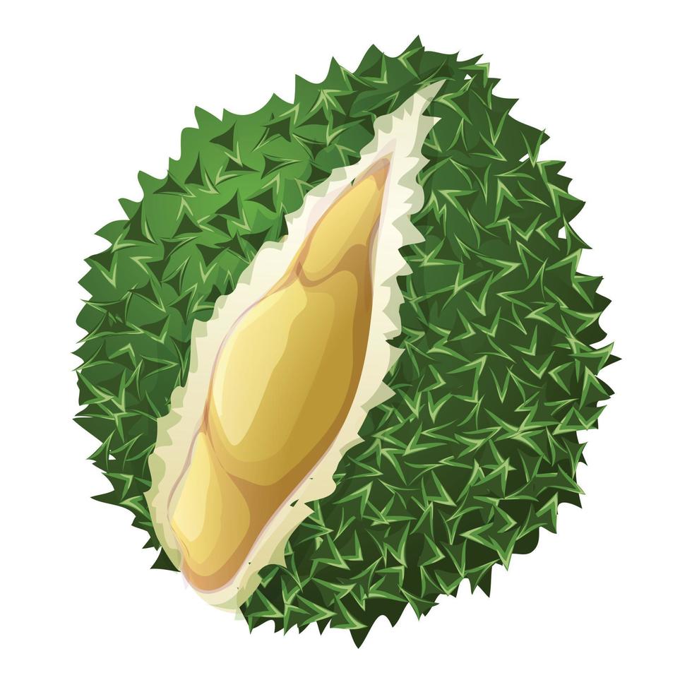 Durian fruit icon, cartoon style vector