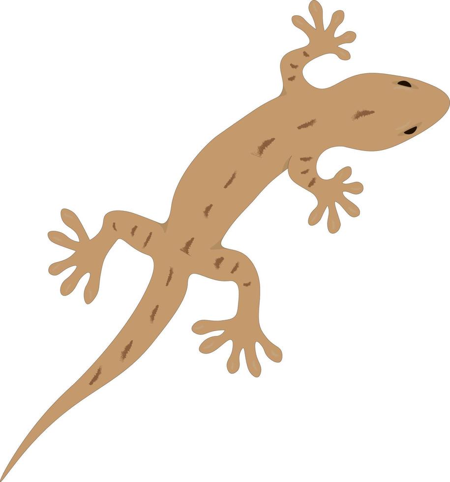 Small cute brown climbing gecko vector illustration