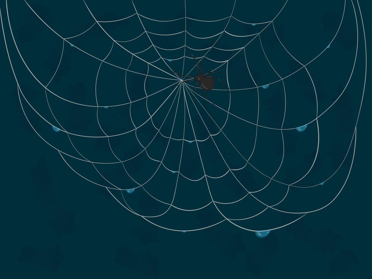 Spiderweb after rain with drops and black spider on dark teal background vector illustration