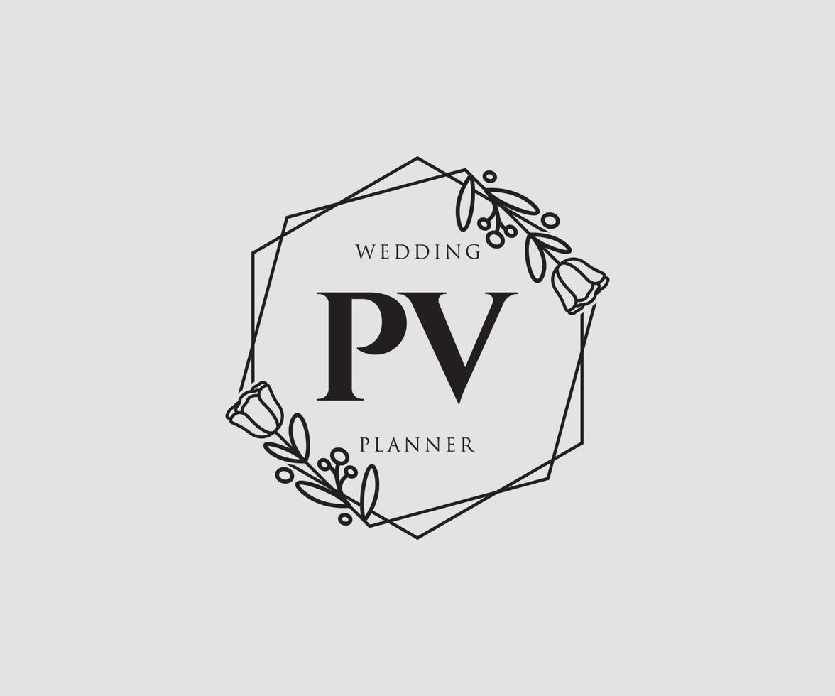 Initial PV feminine logo. Usable for Nature, Salon, Spa, Cosmetic and Beauty Logos. Flat Vector Logo Design Template Element.