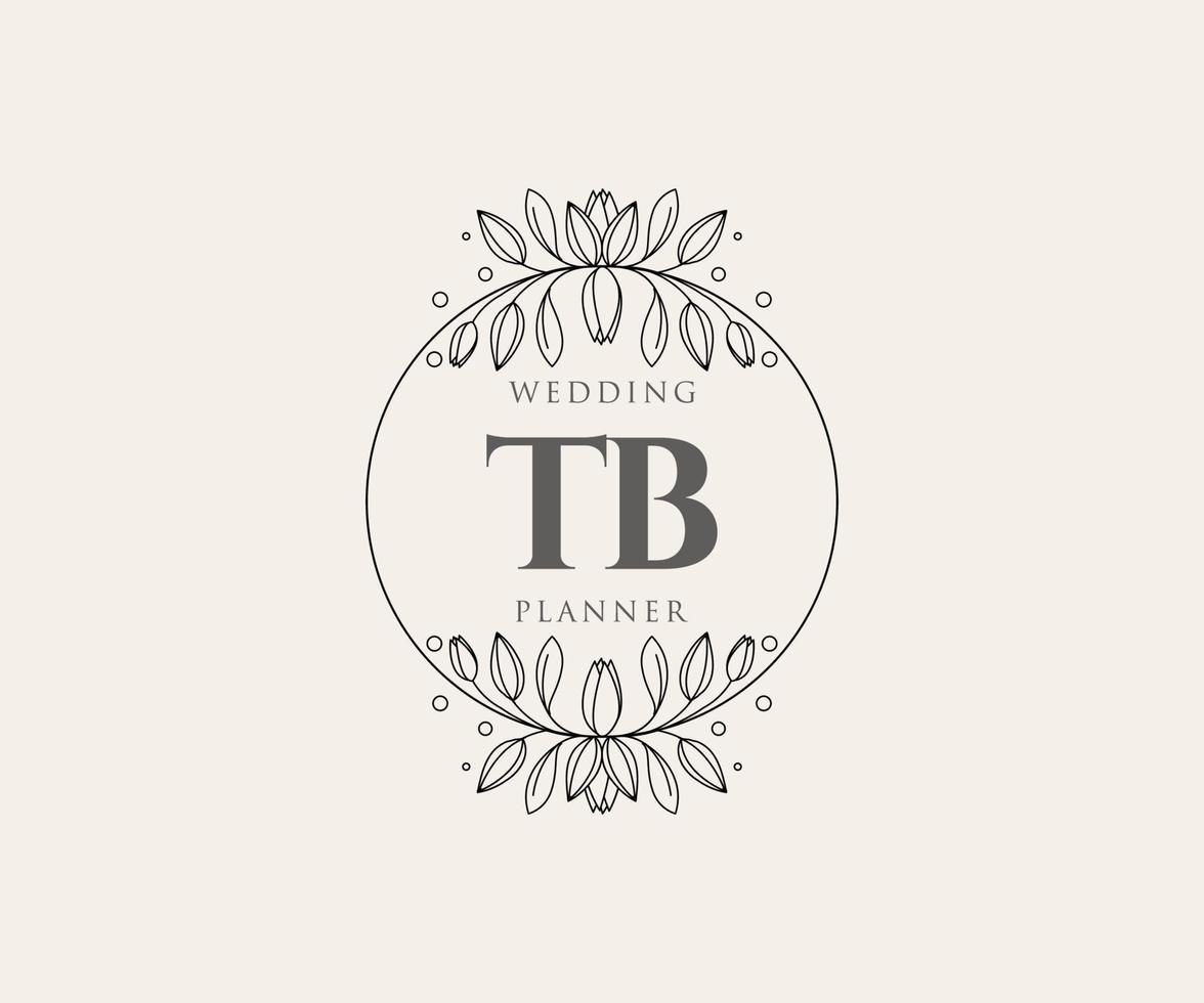 colección de logotipos de monogramas de boda con letras iniciales tb, plantillas florales y minimalistas modernas dibujadas a mano para tarjetas de invitación, guardar la fecha, identidad elegante para restaurante, boutique, café en vector