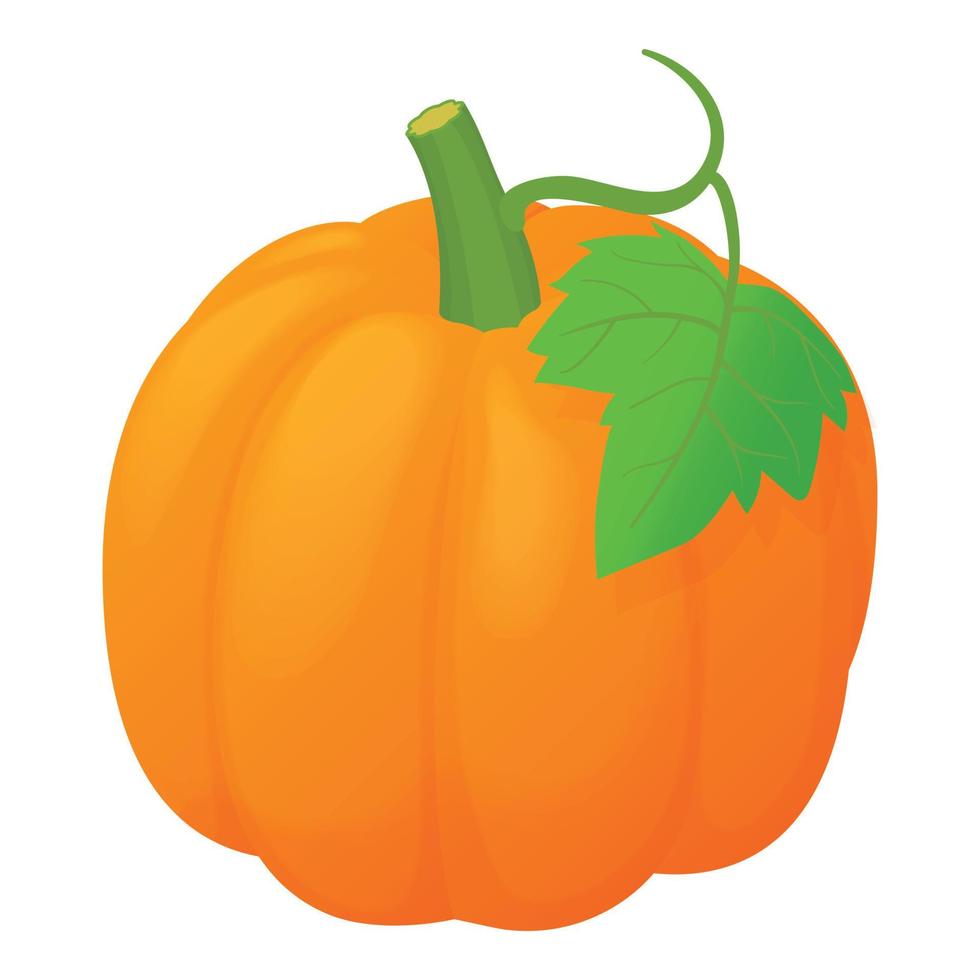 Orange pumpkin icon, cartoon style vector