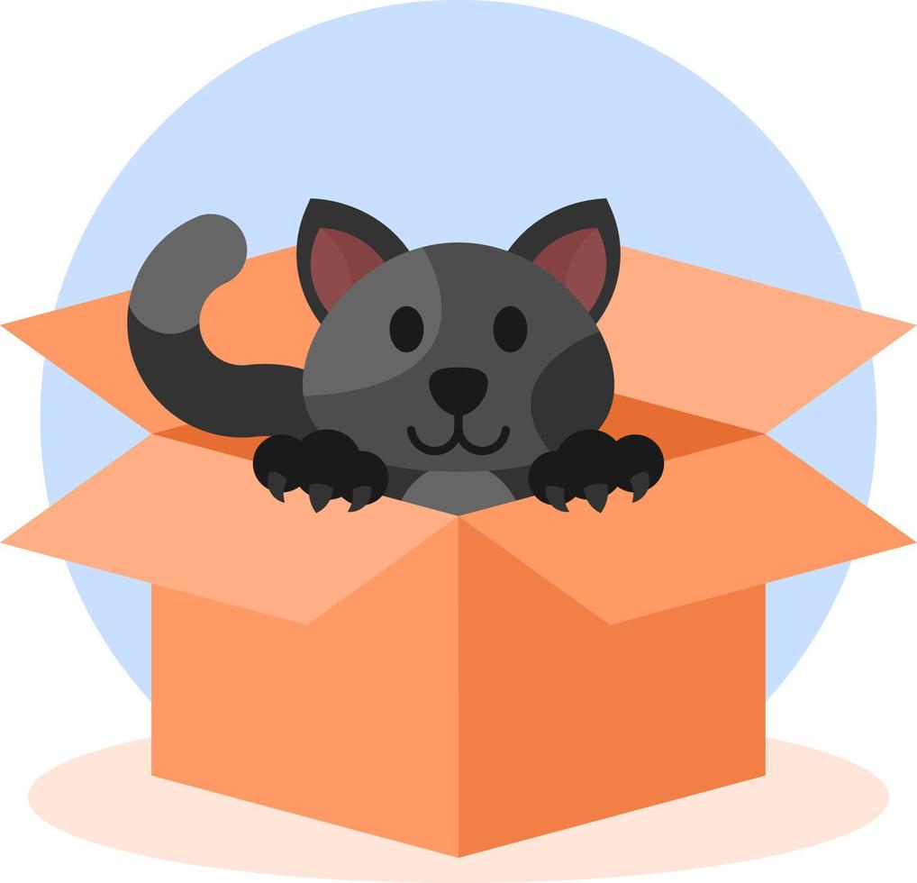 gato negro en un vector de elementos de caja