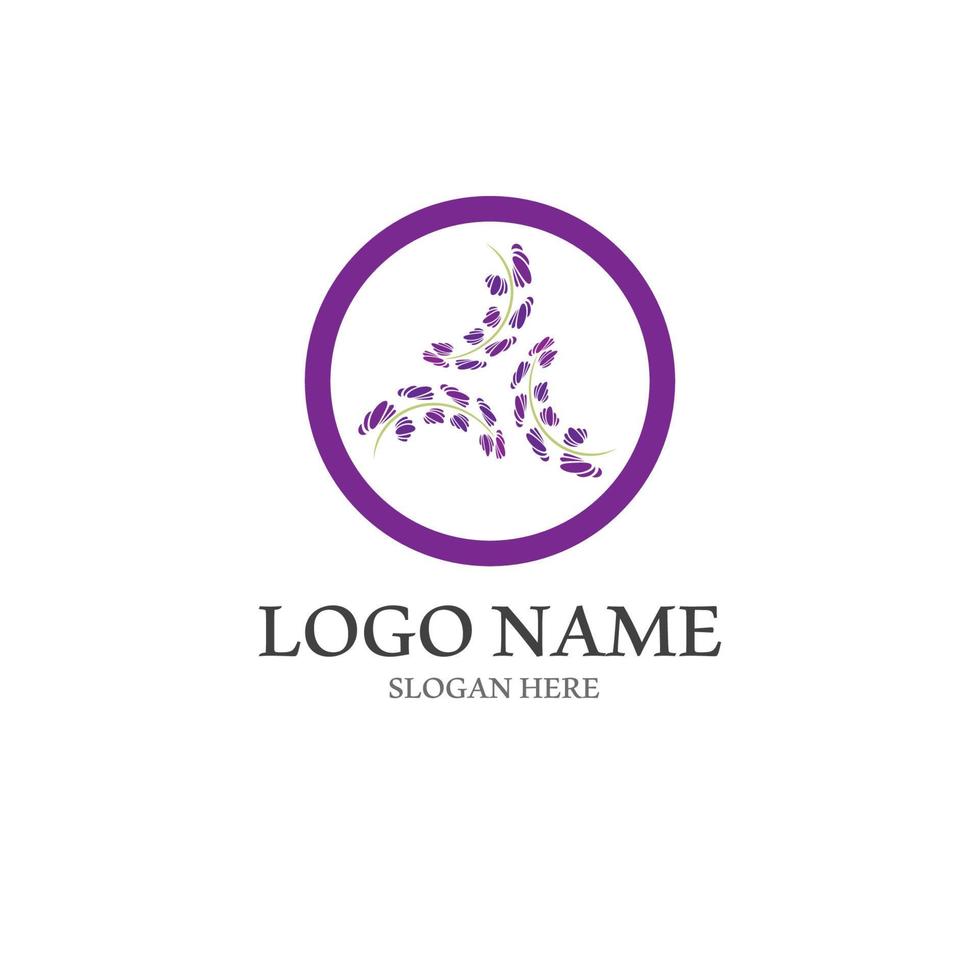 Fresh lavender flower icon logo vector