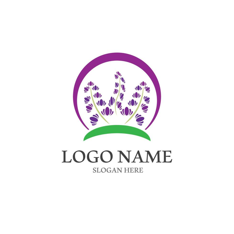 Fresh lavender flower icon logo vector