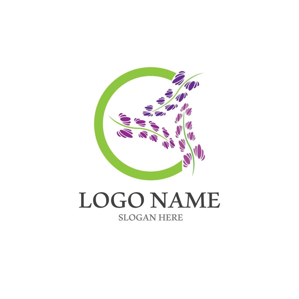 Fresh lavender flower icon logo vector