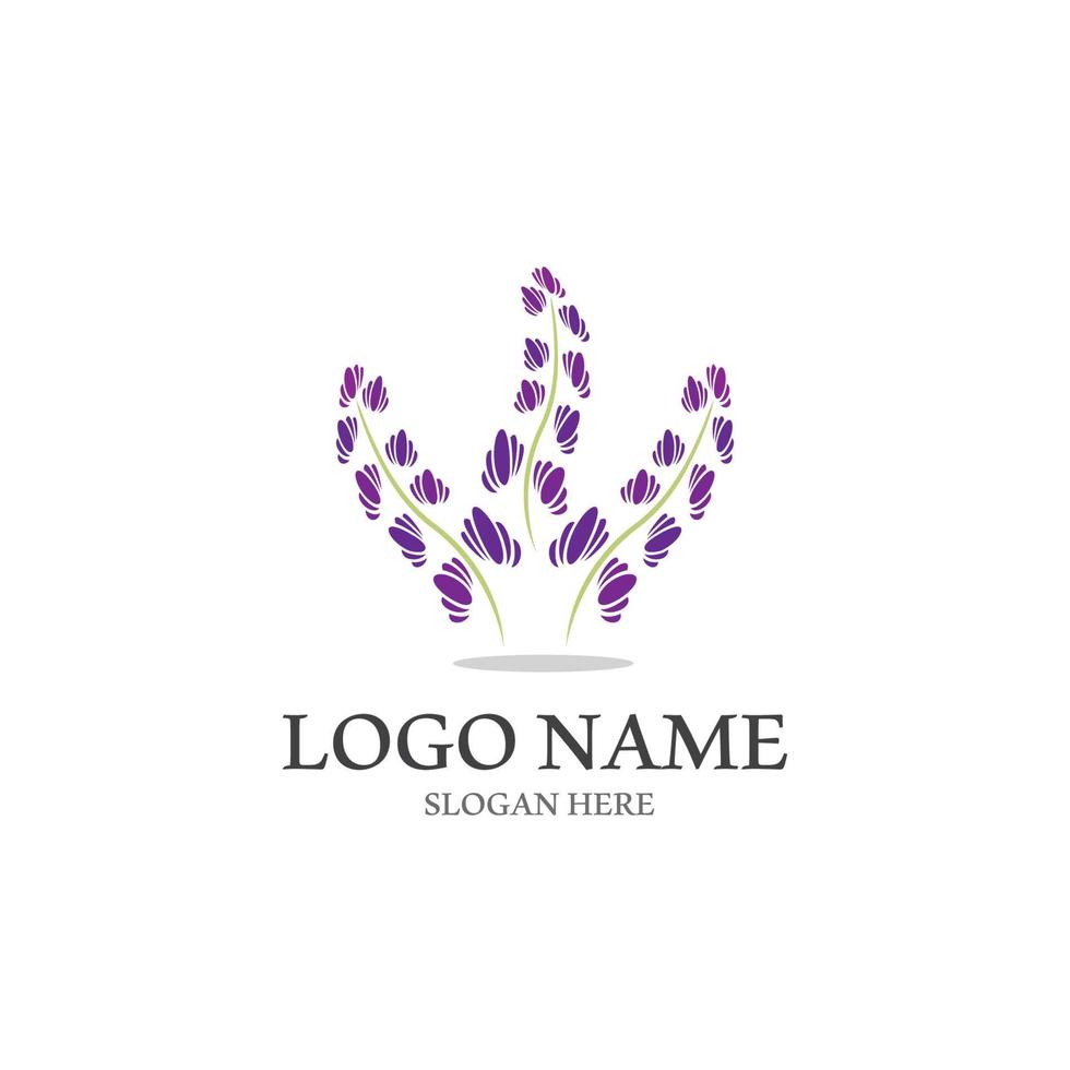 Fresh lavender flower icon logo vector