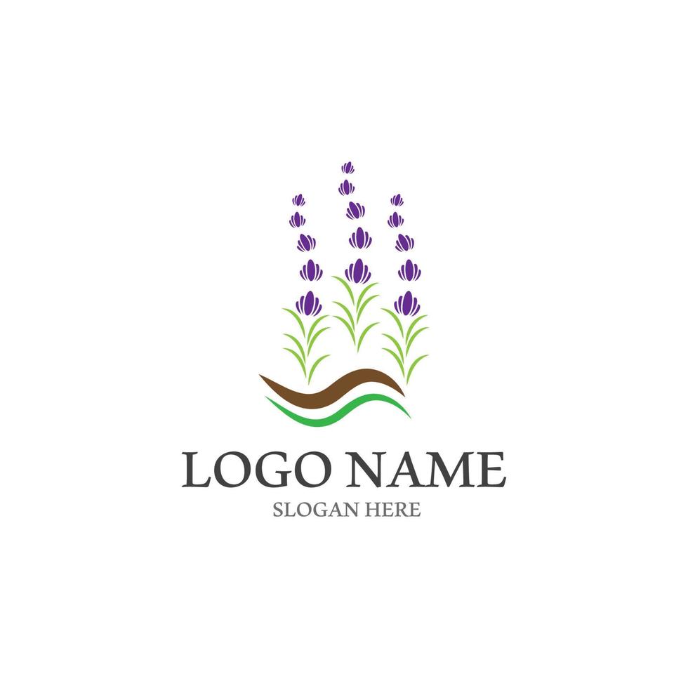 Fresh lavender flower icon logo vector