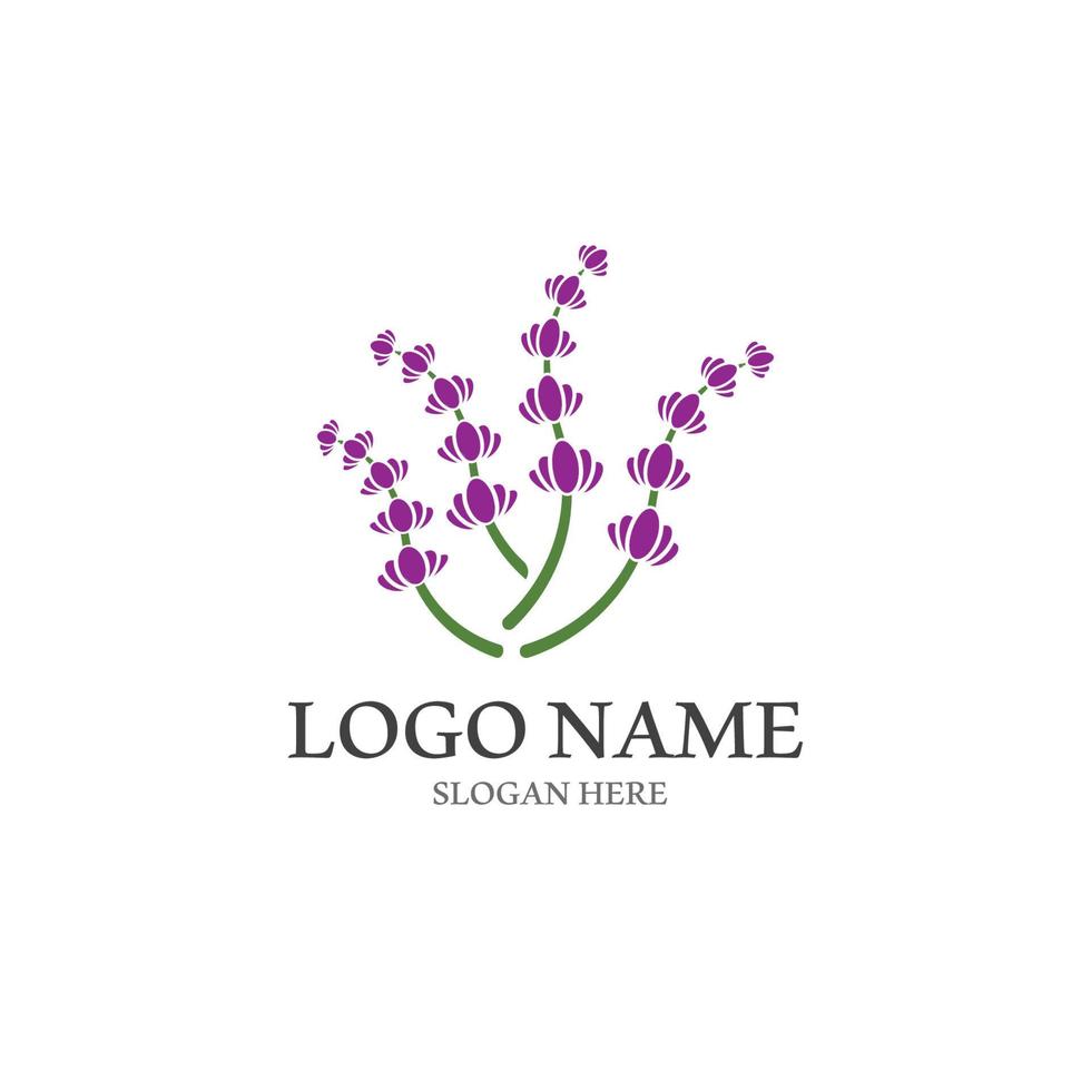 vector de logotipo de icono de flor de lavanda fresca