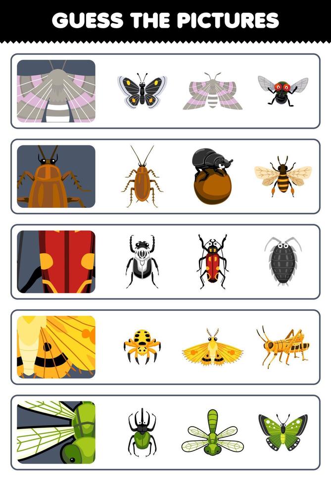 Education game for children guess the correct pictures of cute cartoon moth cockroach beetle dragonfly printable bug worksheet vector