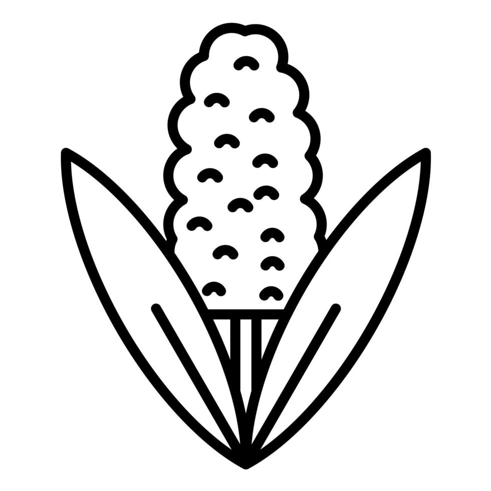 Hyacinth Line Icon vector