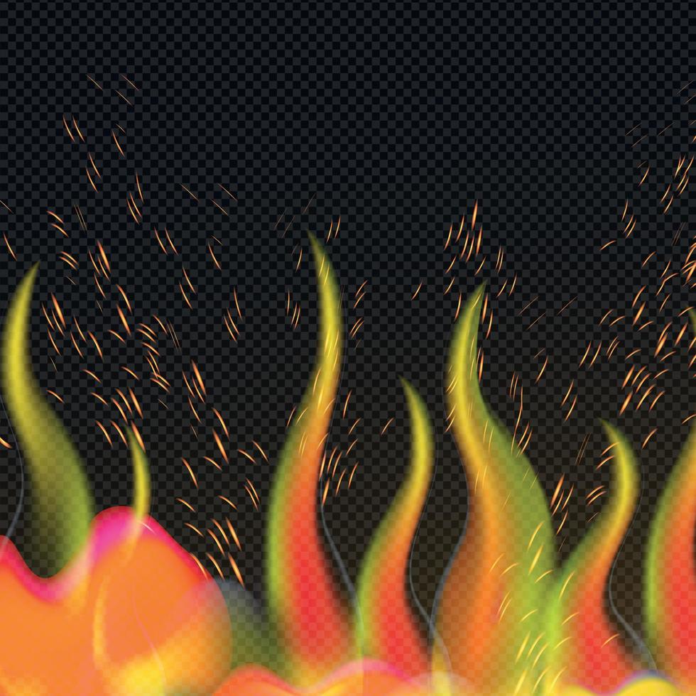 Realistic red-yellow fire on a dark background - Vector