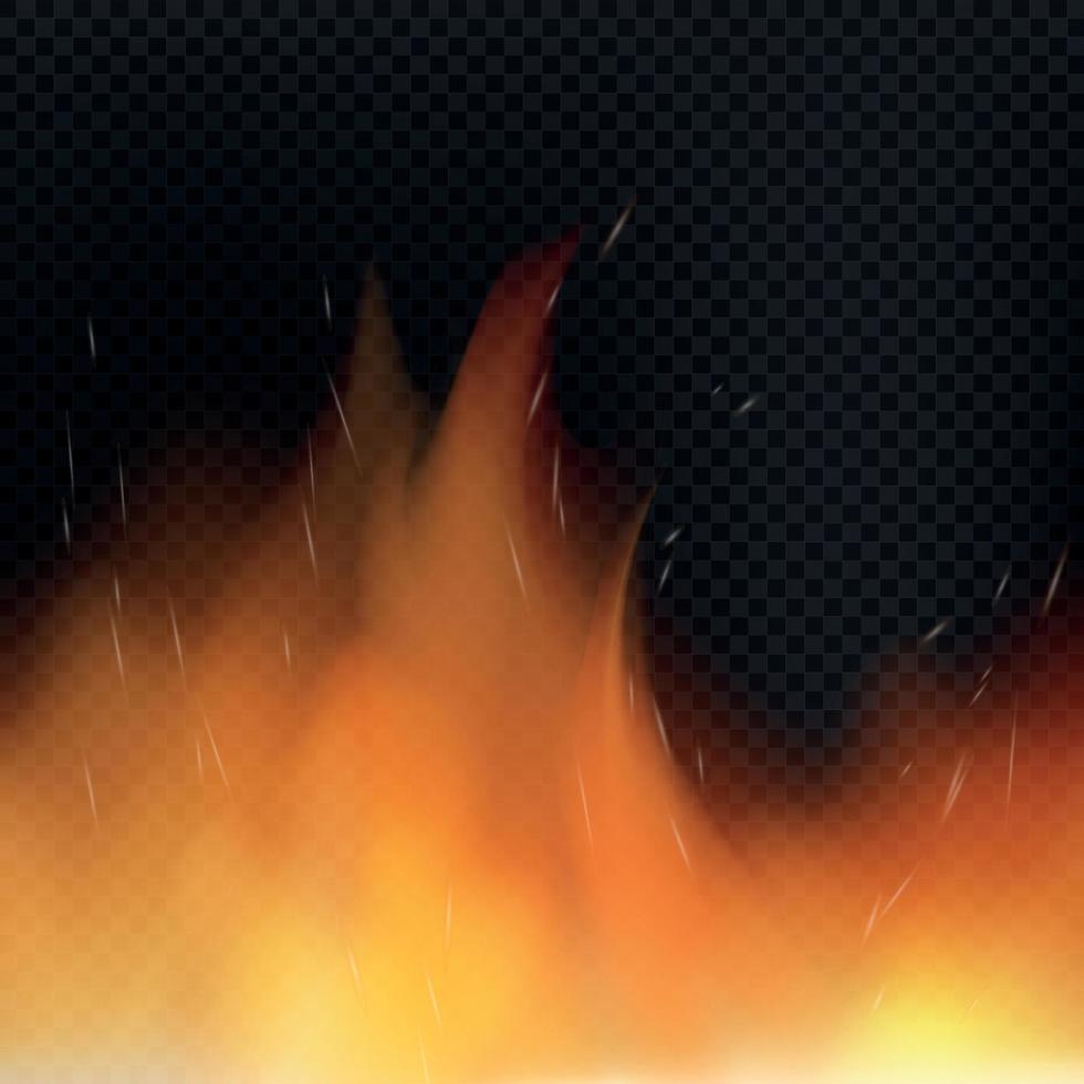 Realistic red-yellow fire on a dark background - Vector