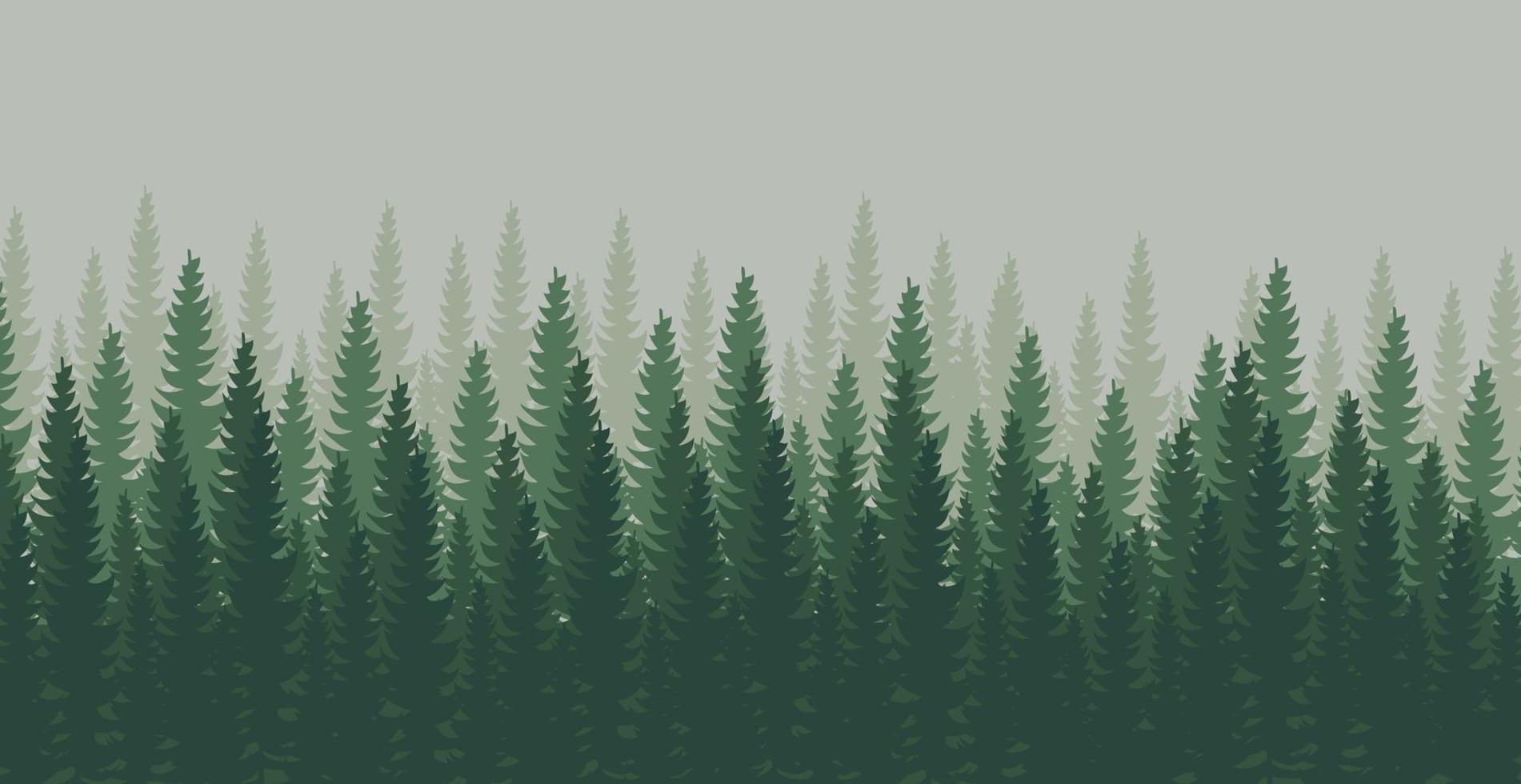 Panorama of dense forest, fir and pine natural green landscape, web background, template - Vector illustration