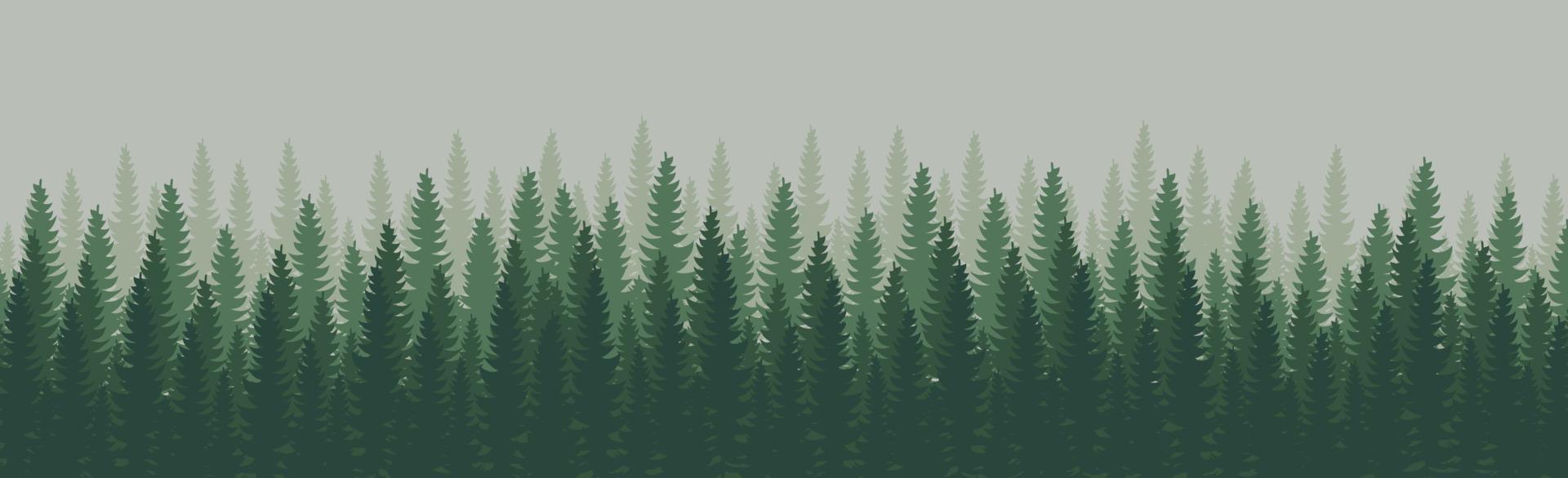 Panorama of dense forest, fir and pine natural green landscape, web background, template - Vector illustration