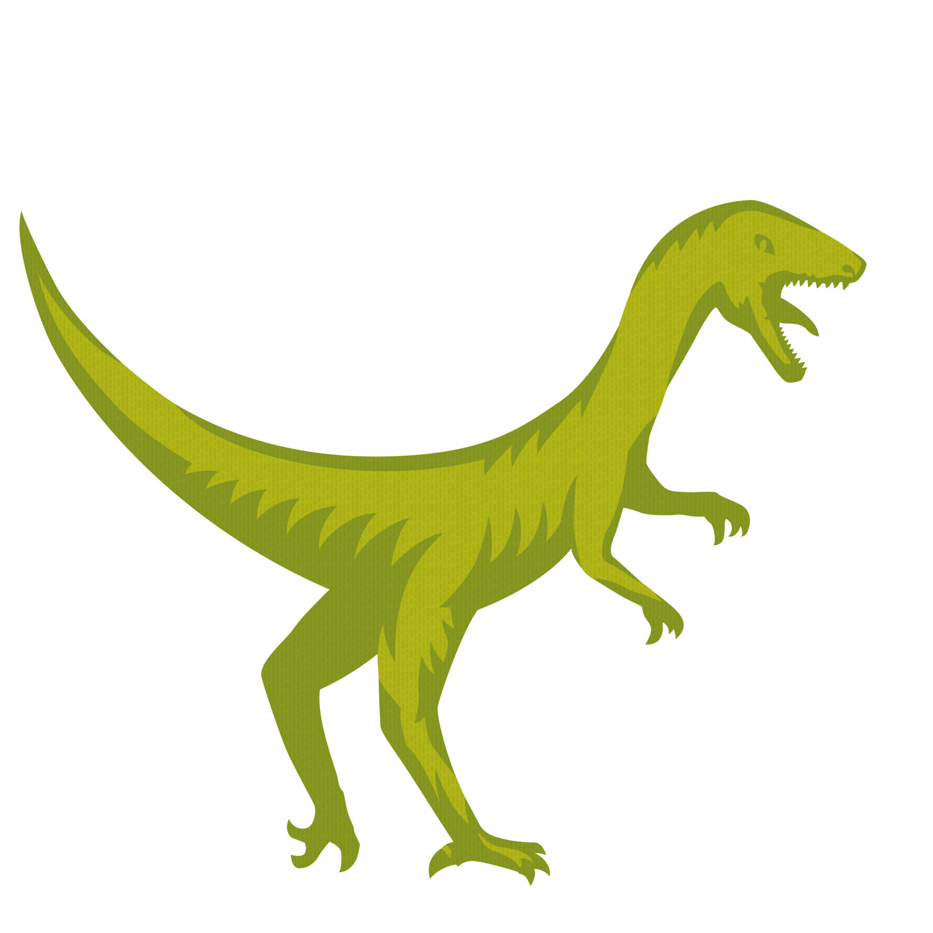 Velociraptor, predaceous dinosaur isolated over white, vector ...