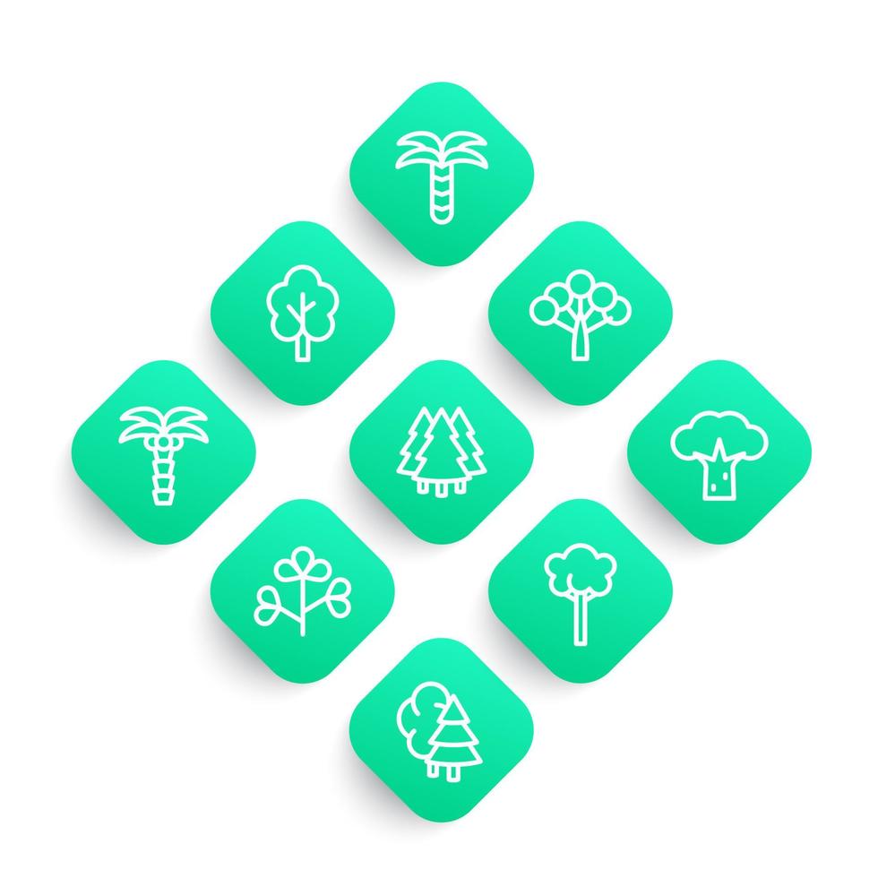 Trees, palms line icons vector