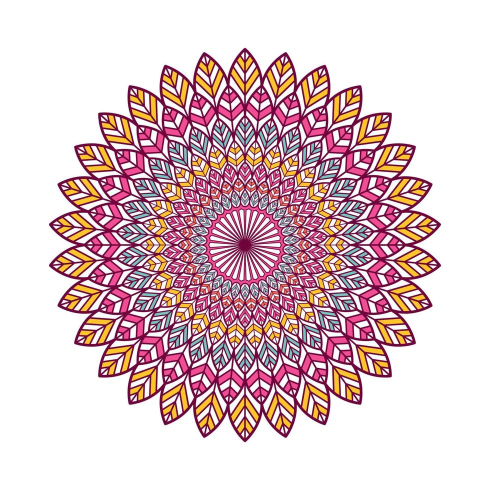 Colorful mandala with floral ornament vector