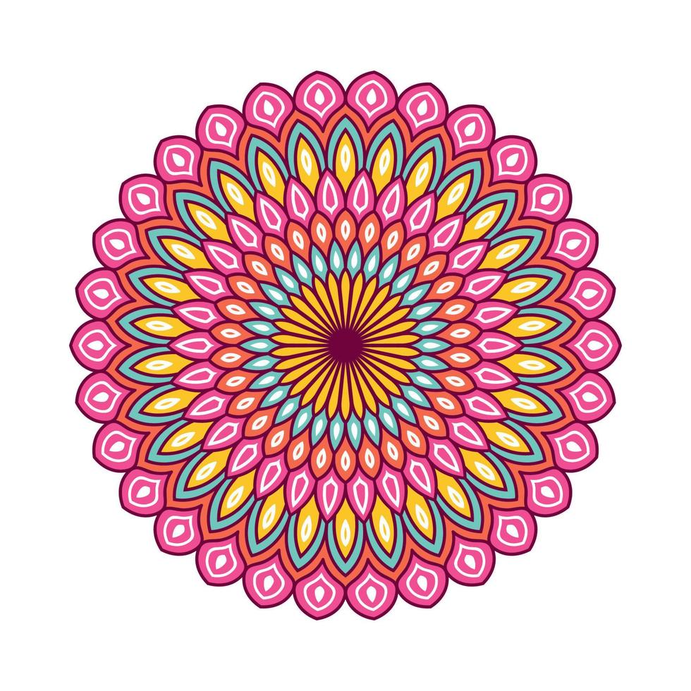 Colorful mandala with floral ornament vector