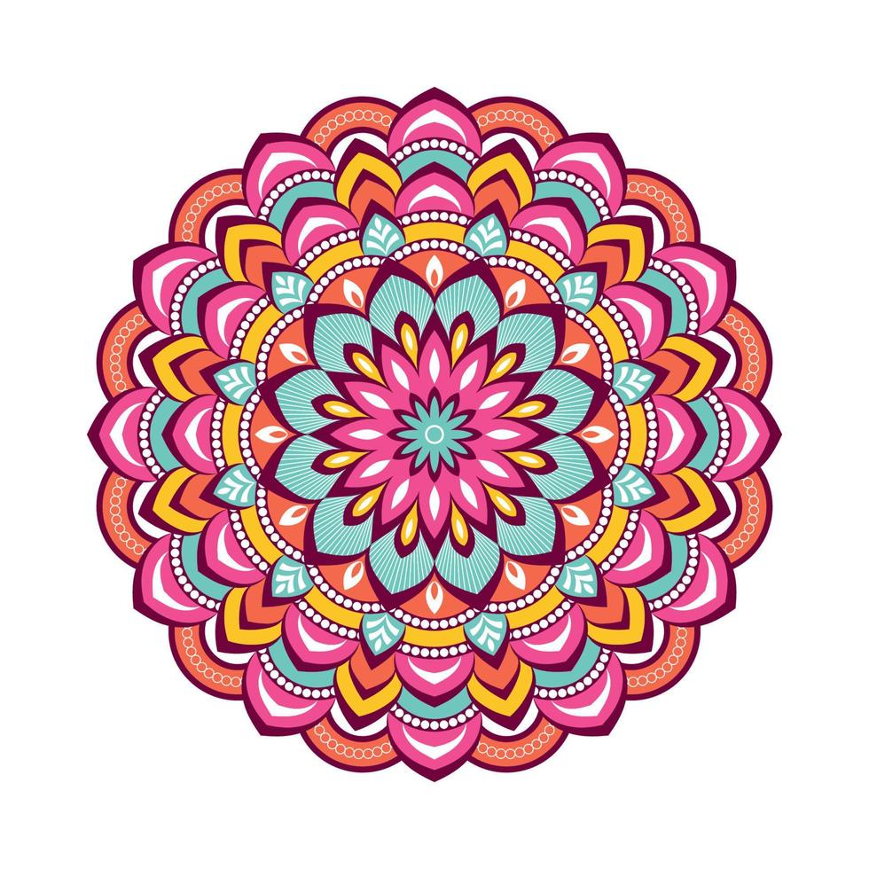 Colorful mandala with floral ornament vector