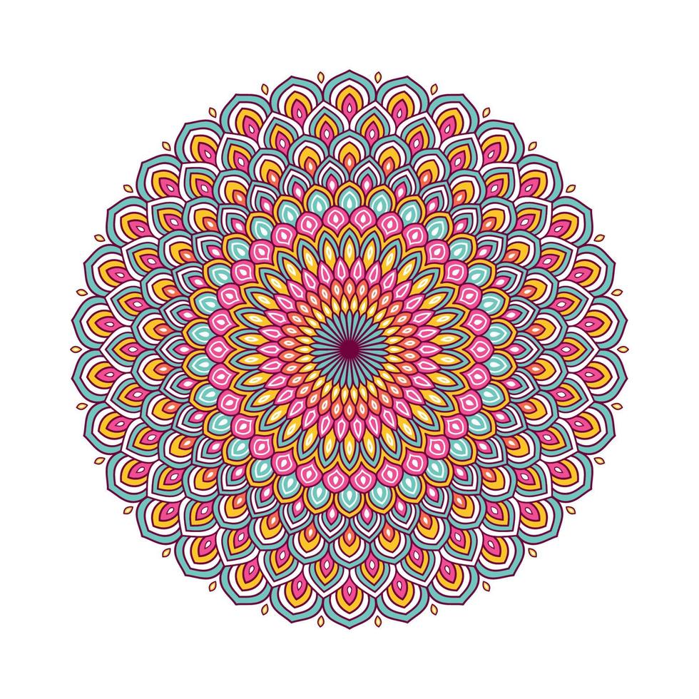 Colorful mandala with floral ornament vector