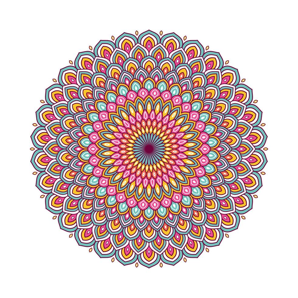 Colorful mandala with floral ornament vector