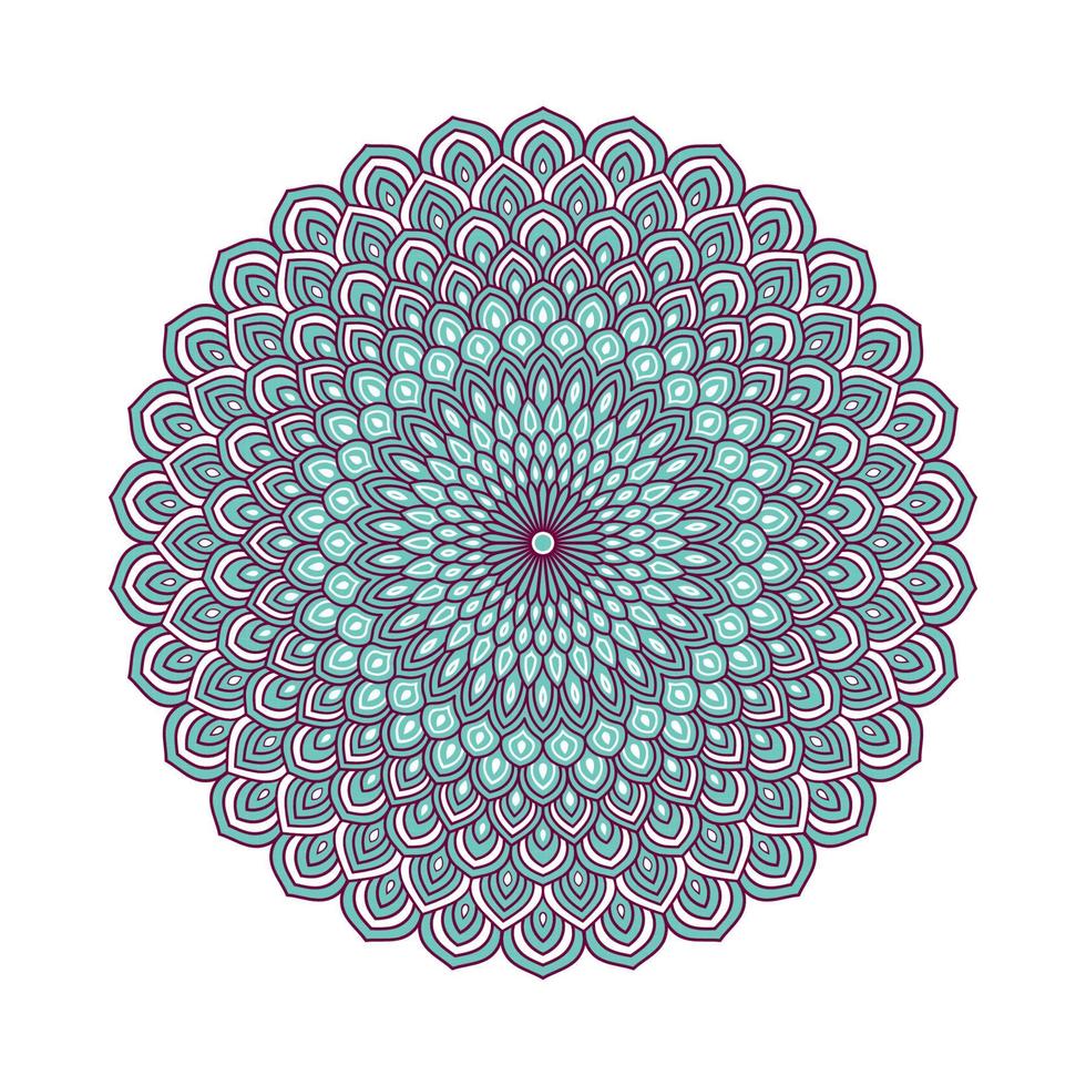 Colorful mandala with floral ornament vector