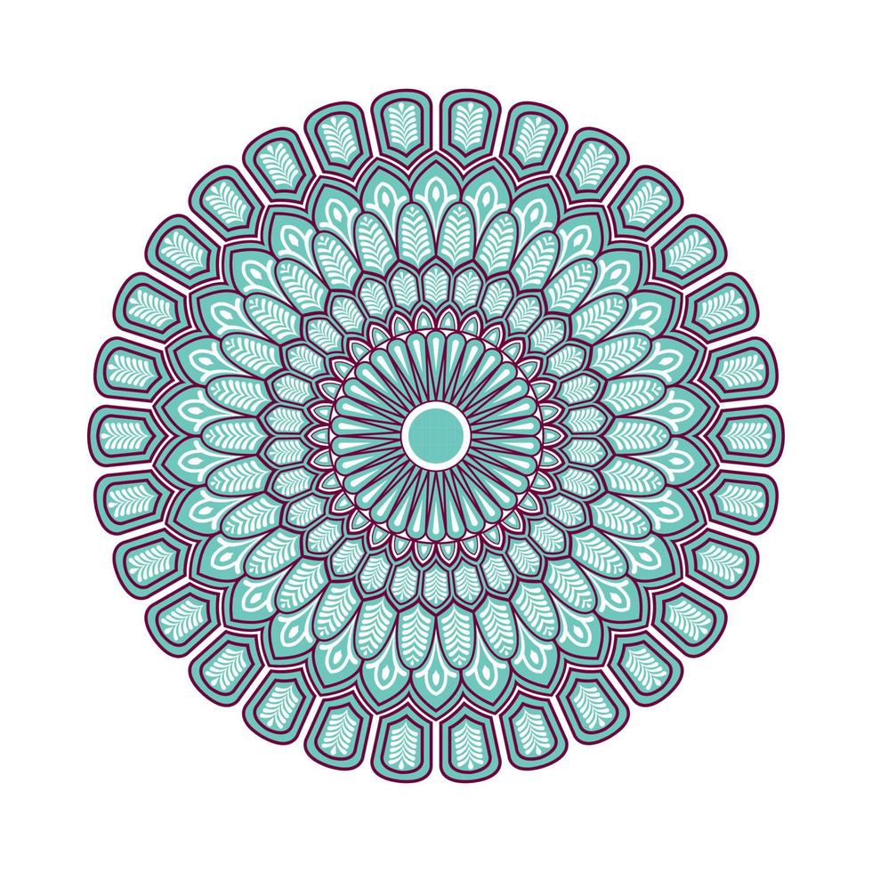 Colorful mandala with floral ornament vector