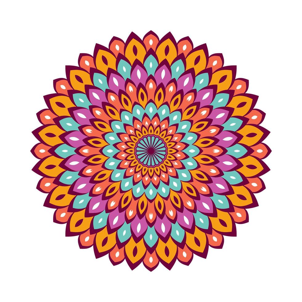 Colorful mandala with floral ornament vector